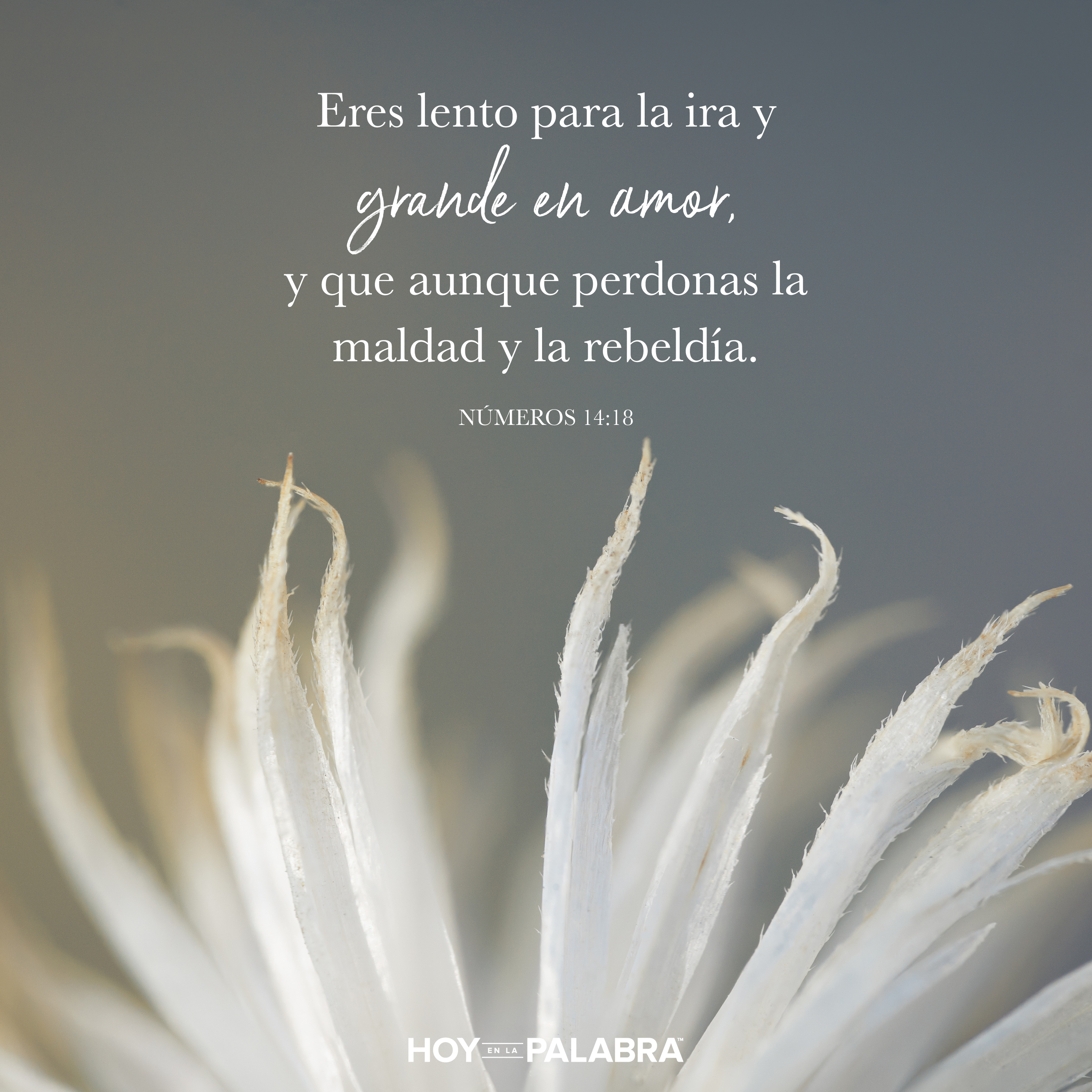 Eva: El más profundo dolor