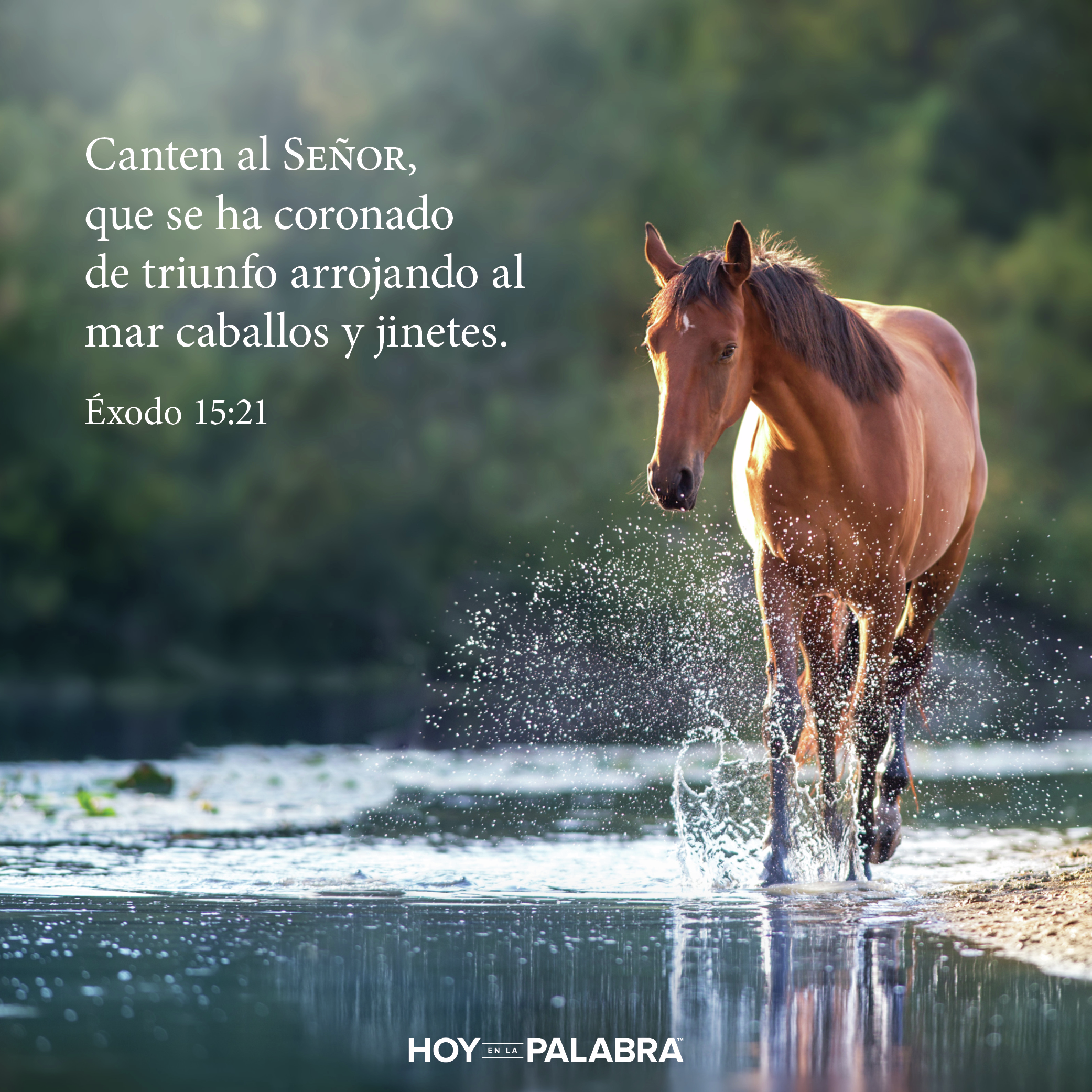 Hoy en la palabra