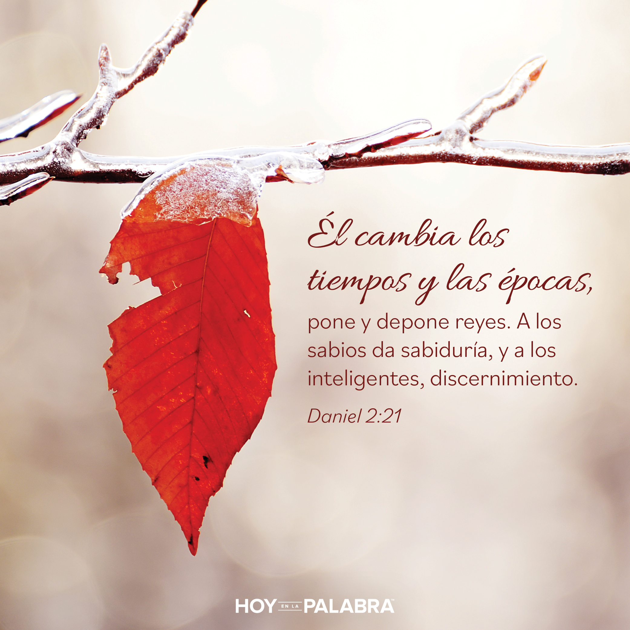 Betsabé: ¿Quién será rey?