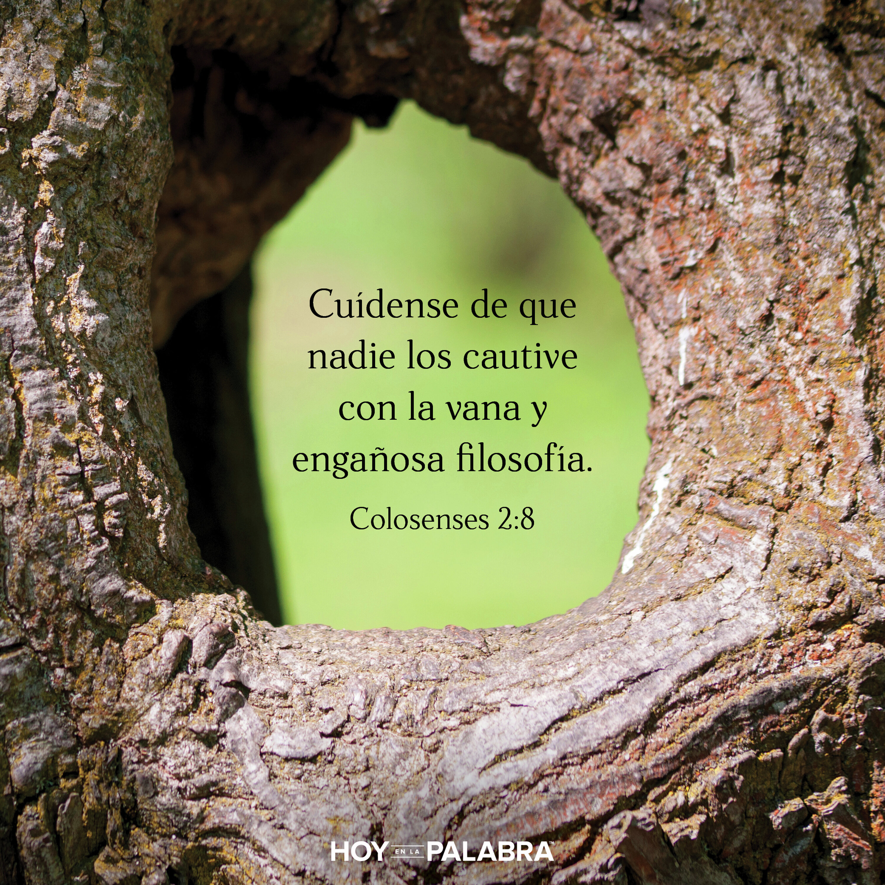 VANA FILOSOFÍA