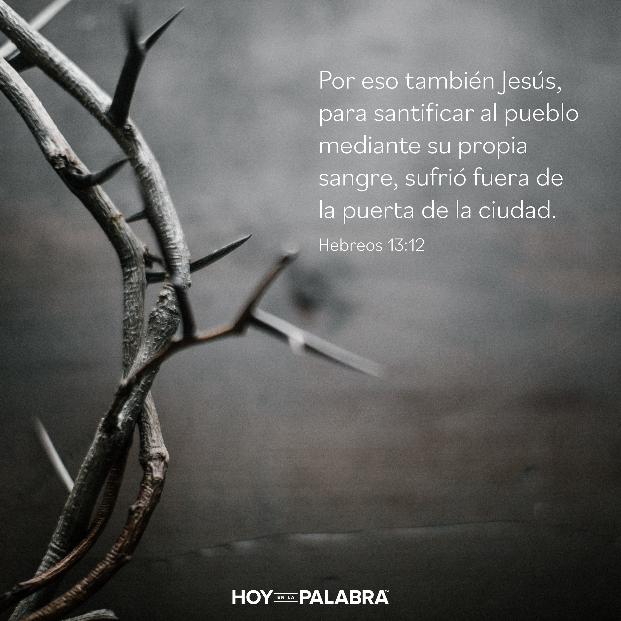 La cultura de la aceptación