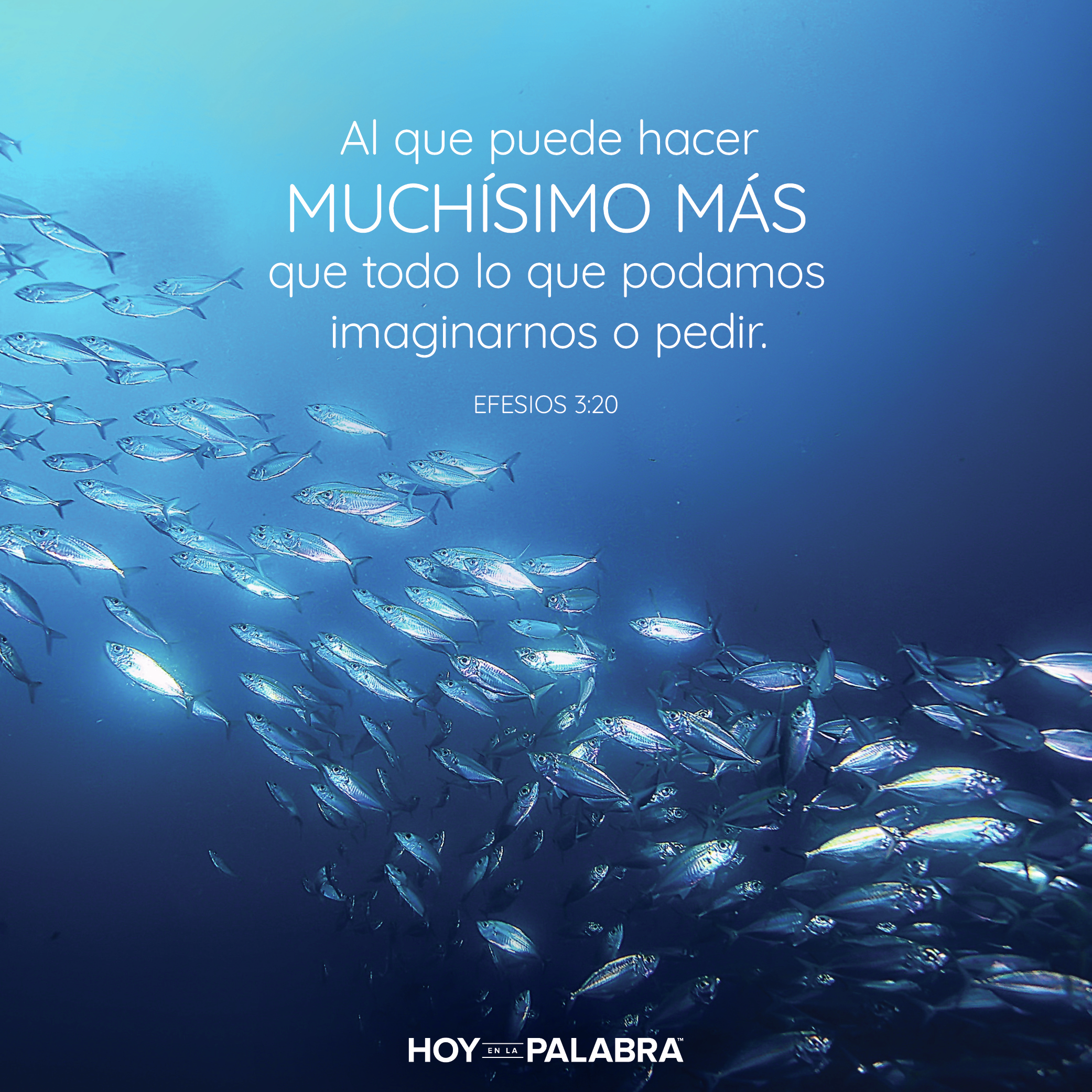 Hoy en la palabra
