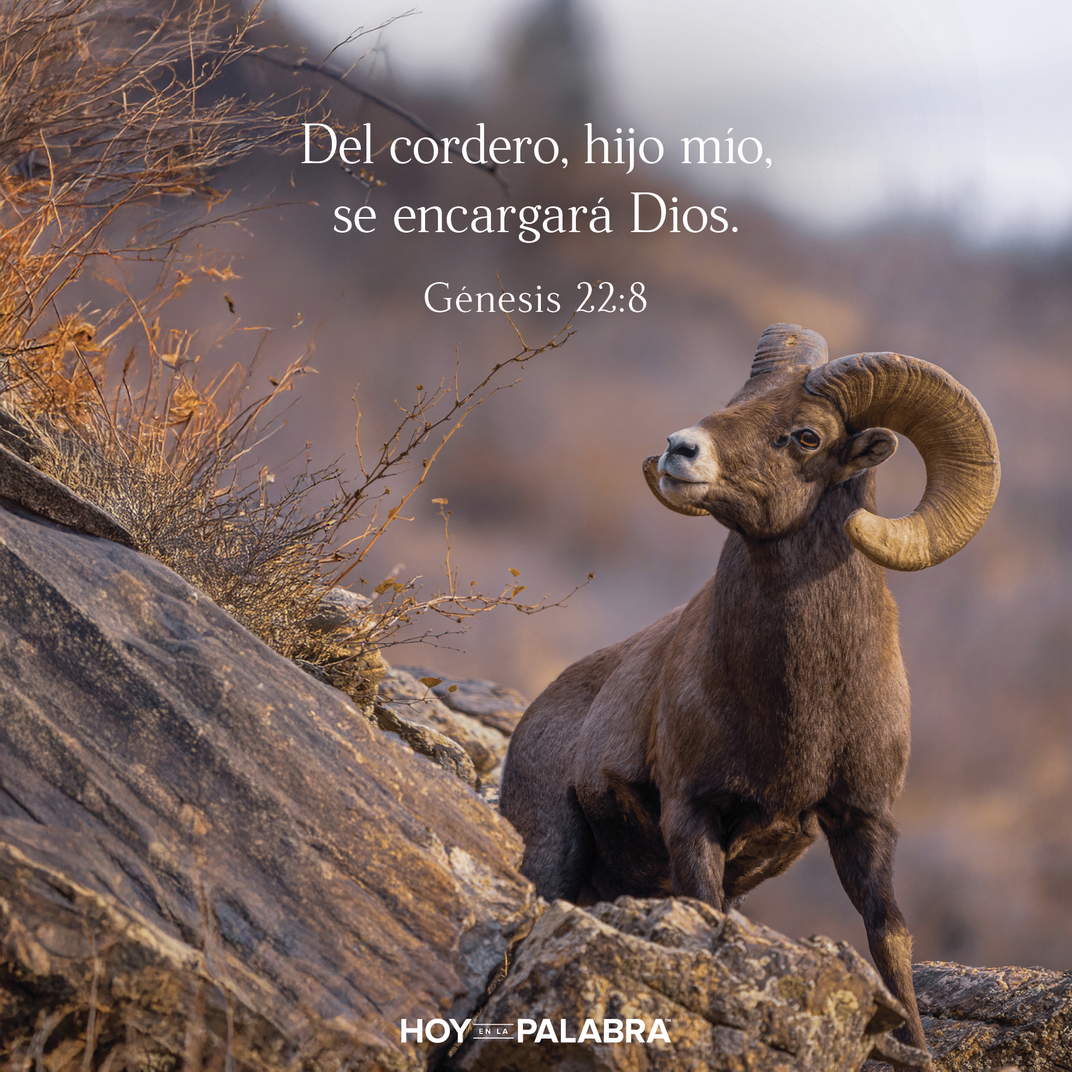 EL CARNERO EN EL MATORRAL