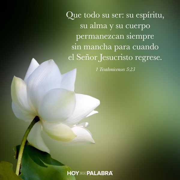 Palabras de oración y ánimo