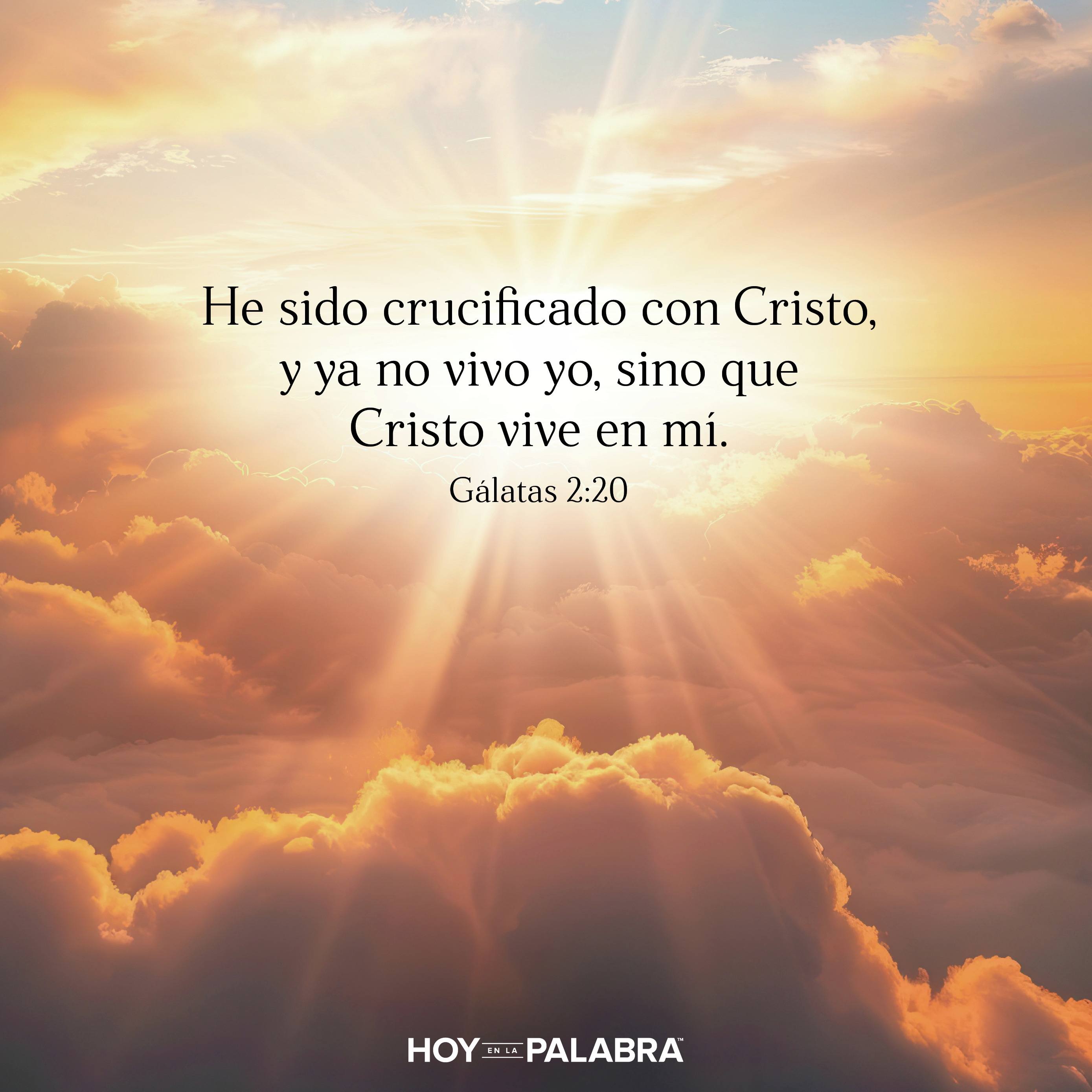 JUSTIFICADOS EN CRISTO