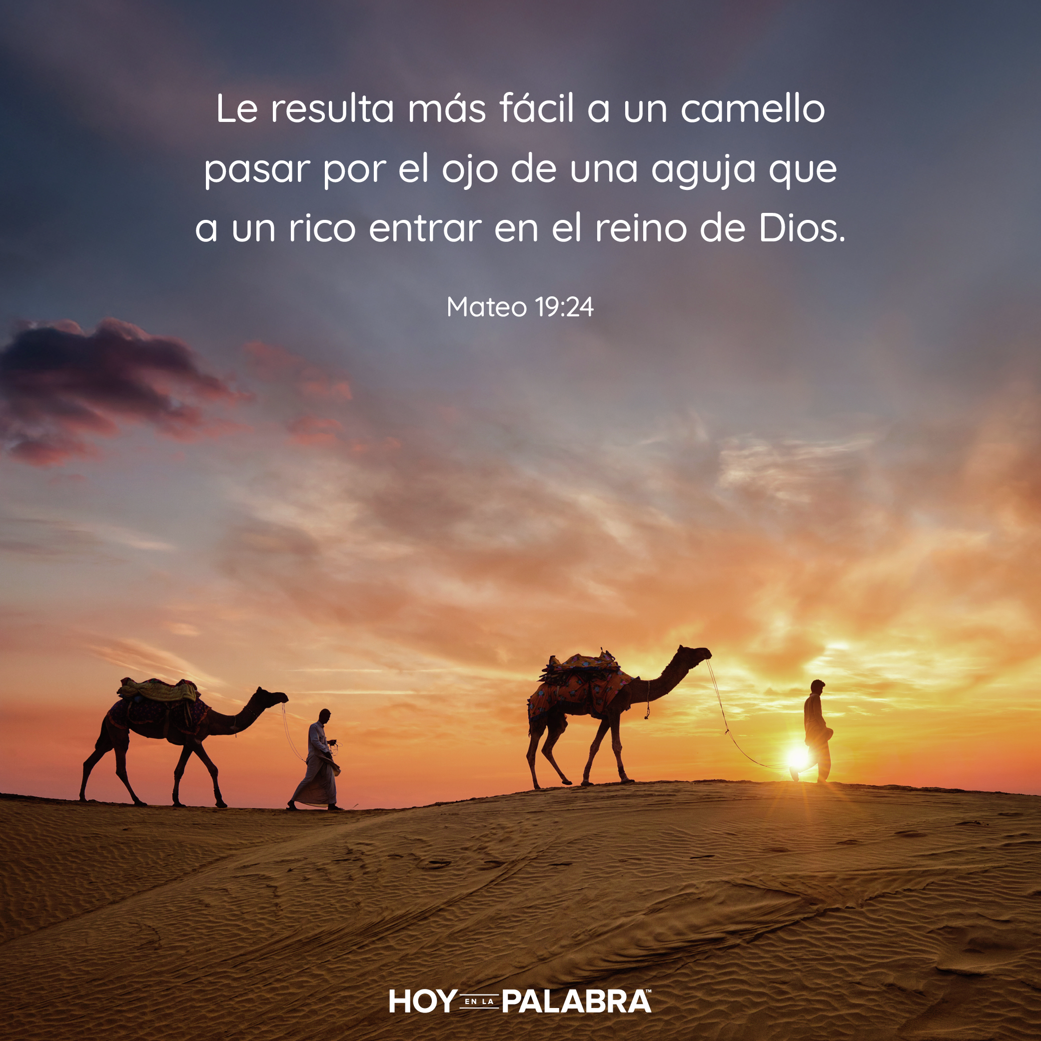 EL DESAFÍO DEL CAMELLO