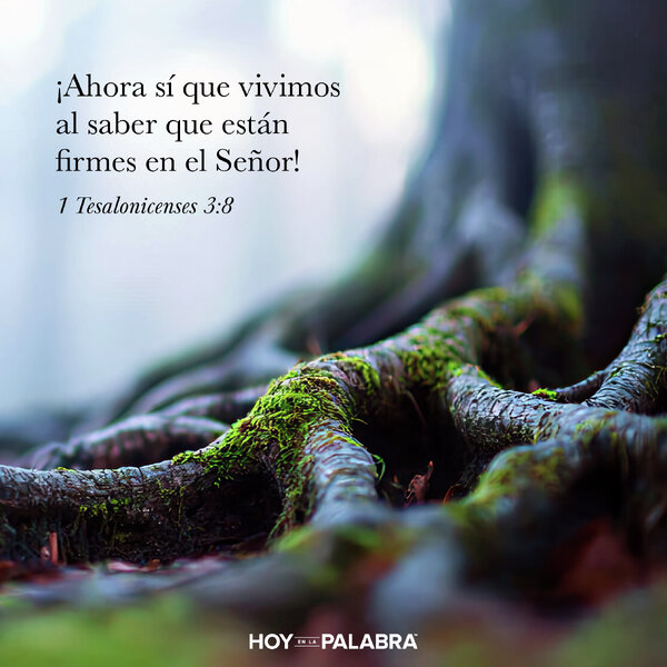 FRUTOS DE RESISTENCIA