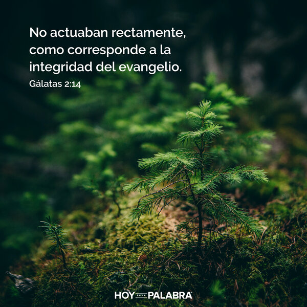 Lo que Pedro aprendió de Pablo