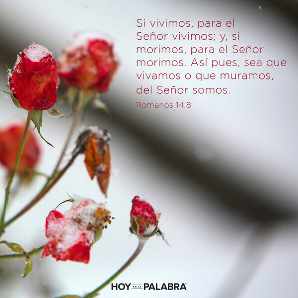 ¿A mi manera o a la suya?