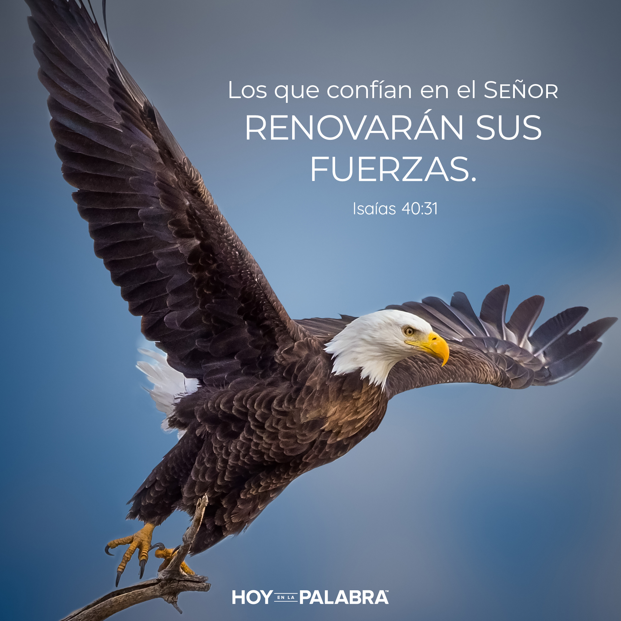 De la prisión al palacio