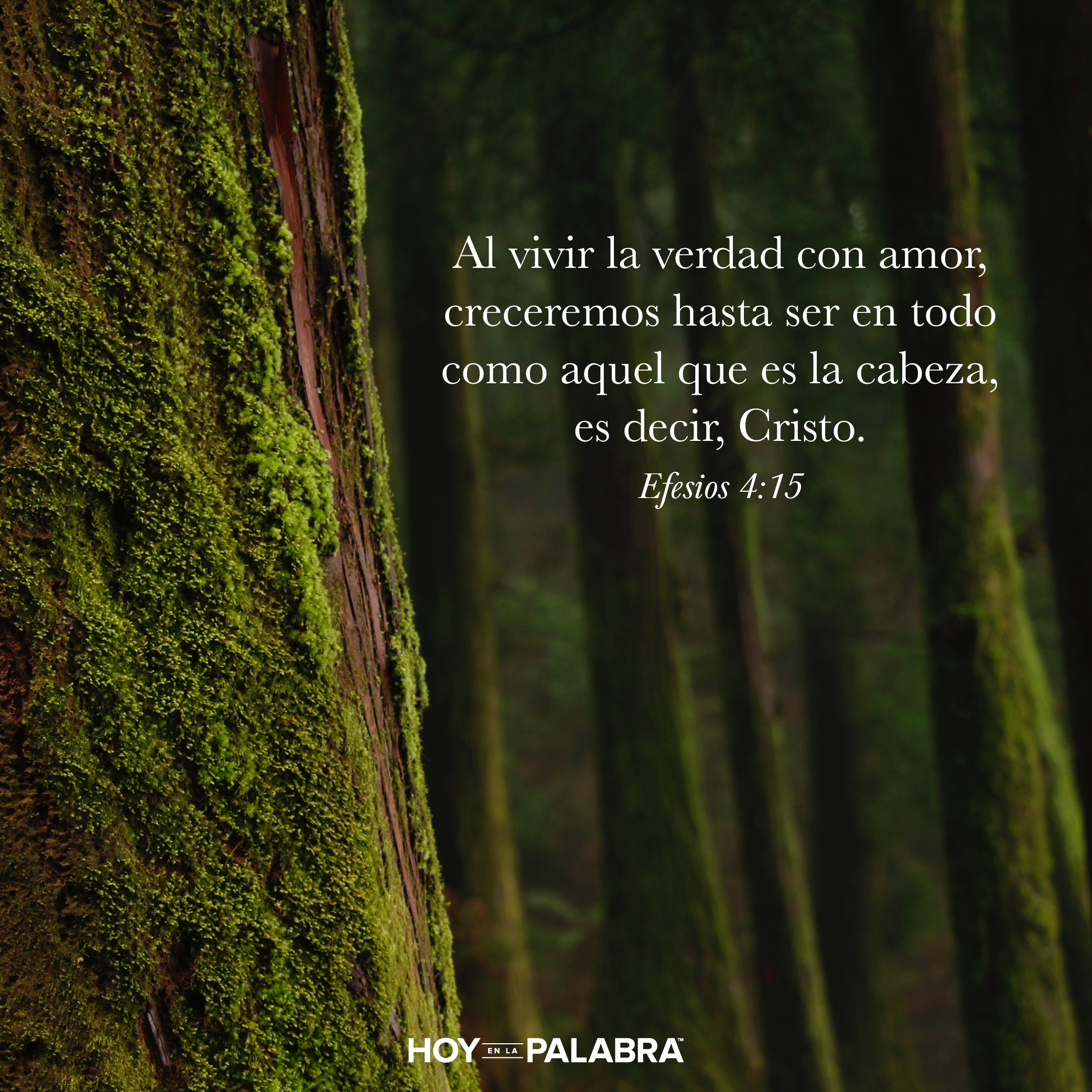 Safira: Mentiras de muerte