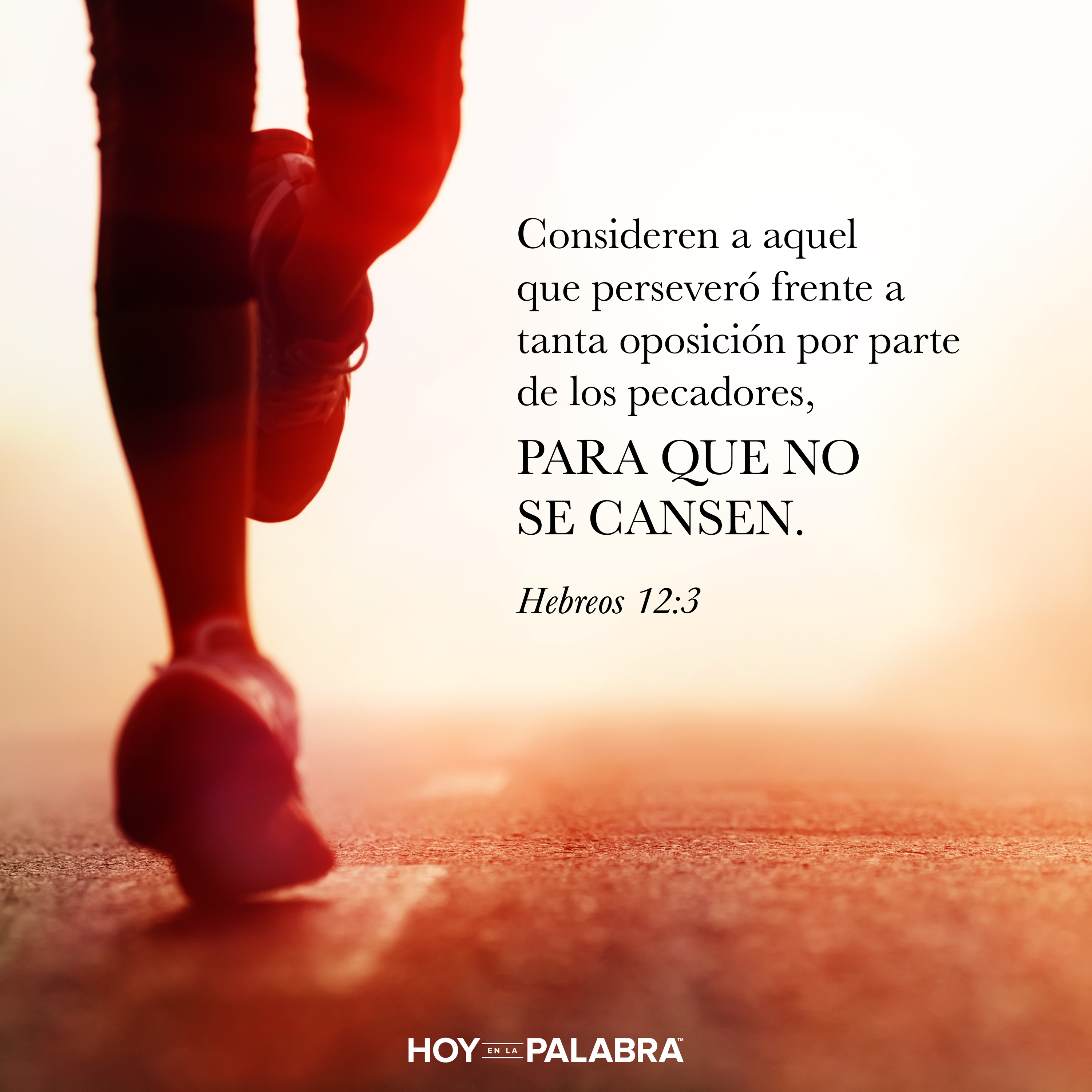 LA DISCIPLINA DEL SUFRIMIENTO