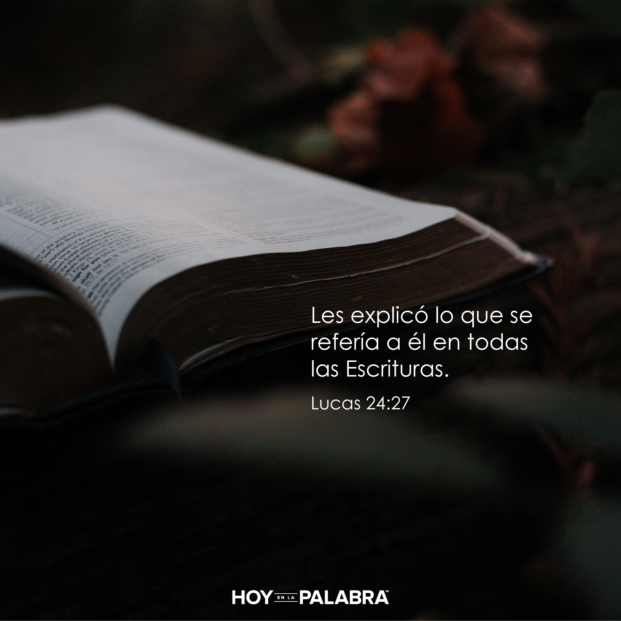 Toda la Escritura apunta a Cristo