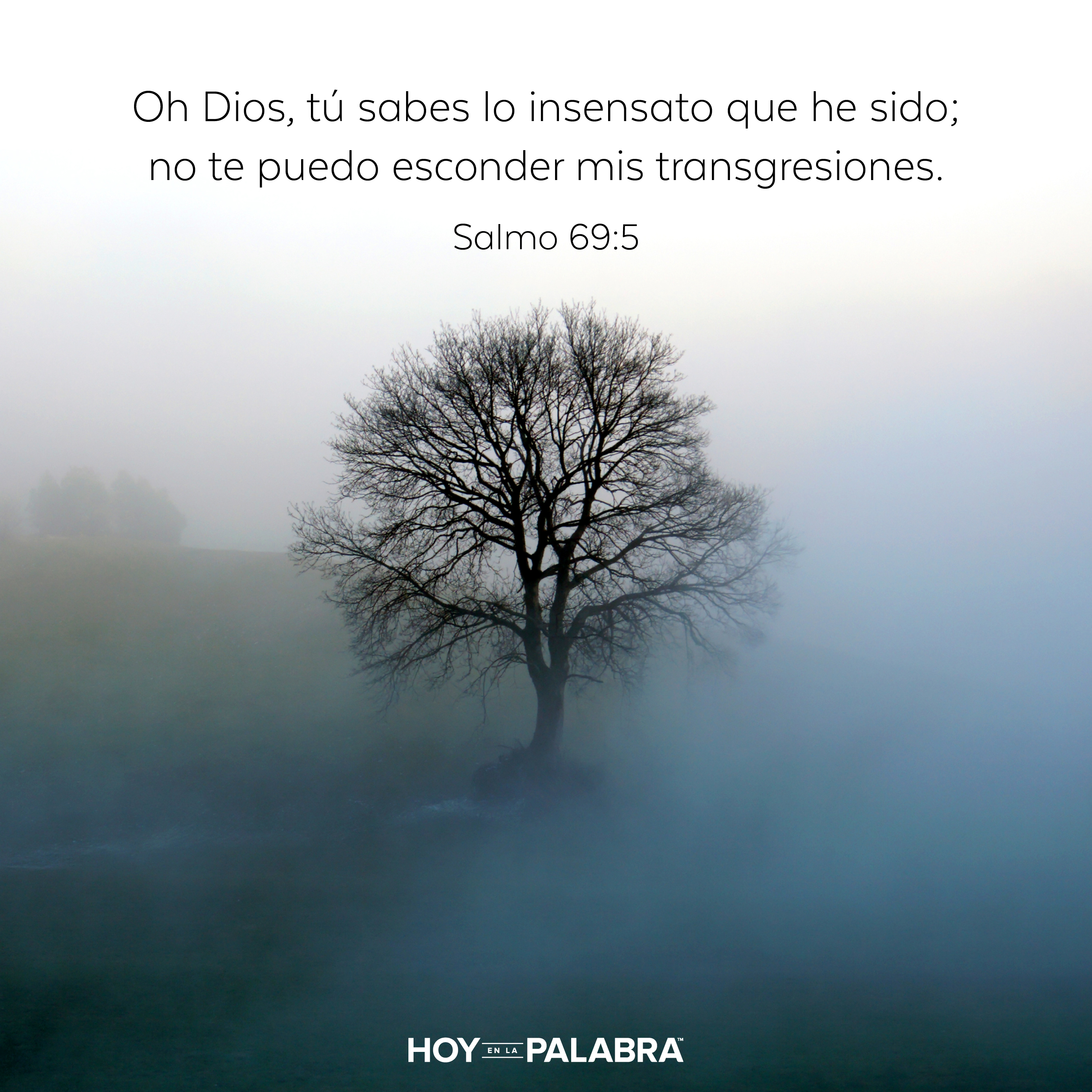 Eva: Llega la vergüenza