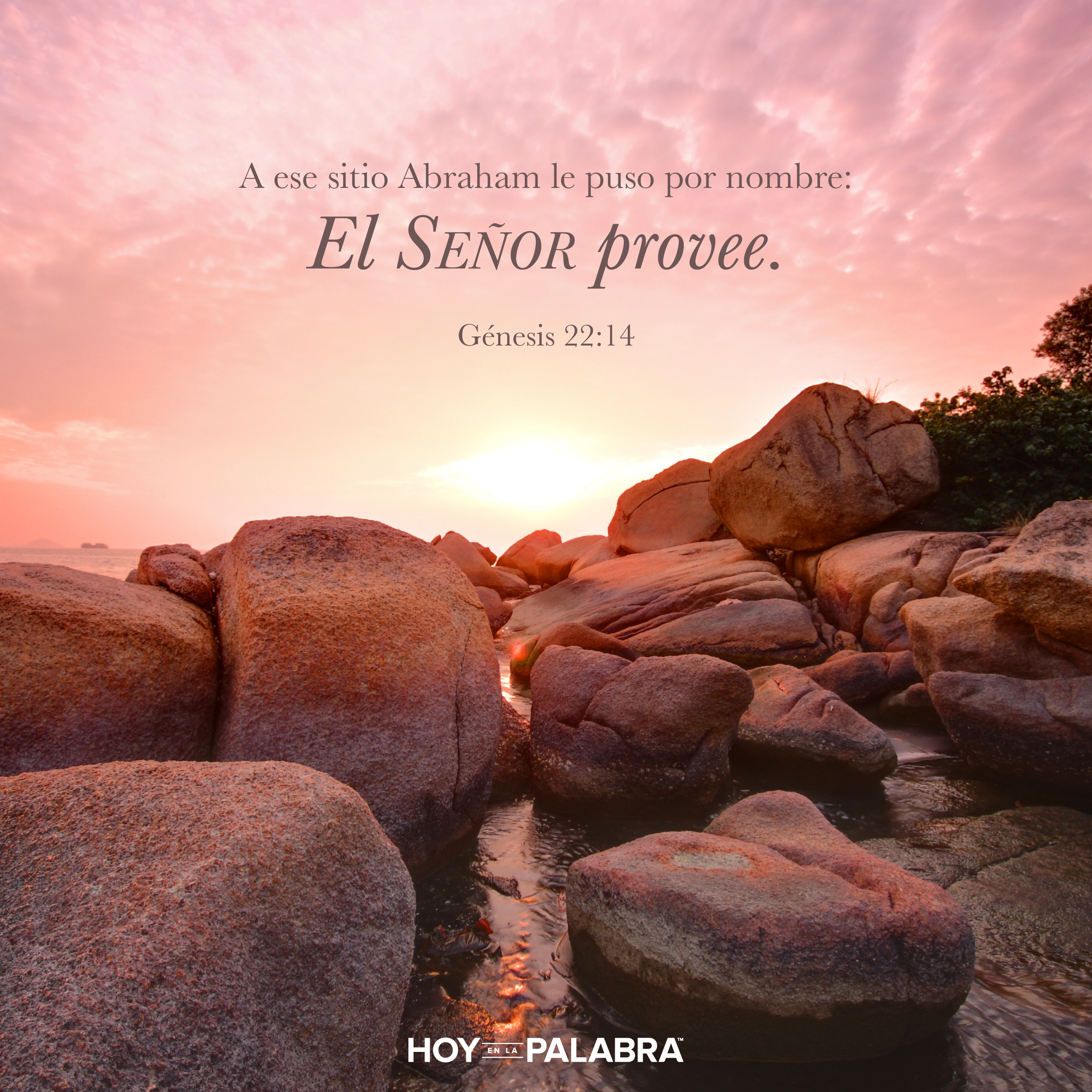 Sara: Un Dios que provee