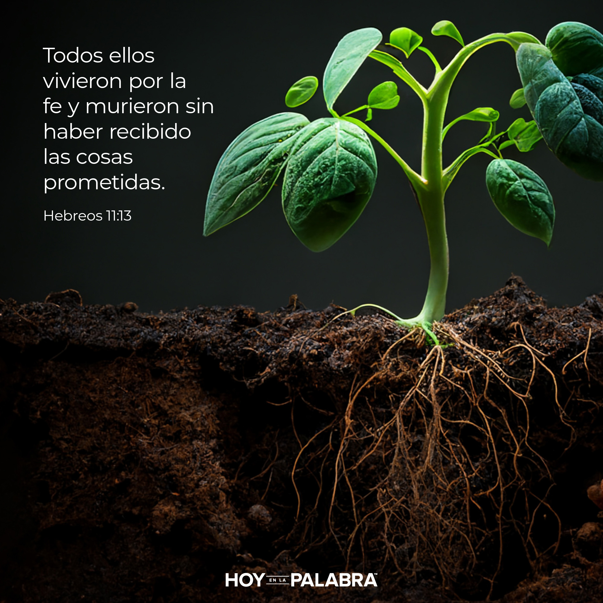 Una tierra, una promesa