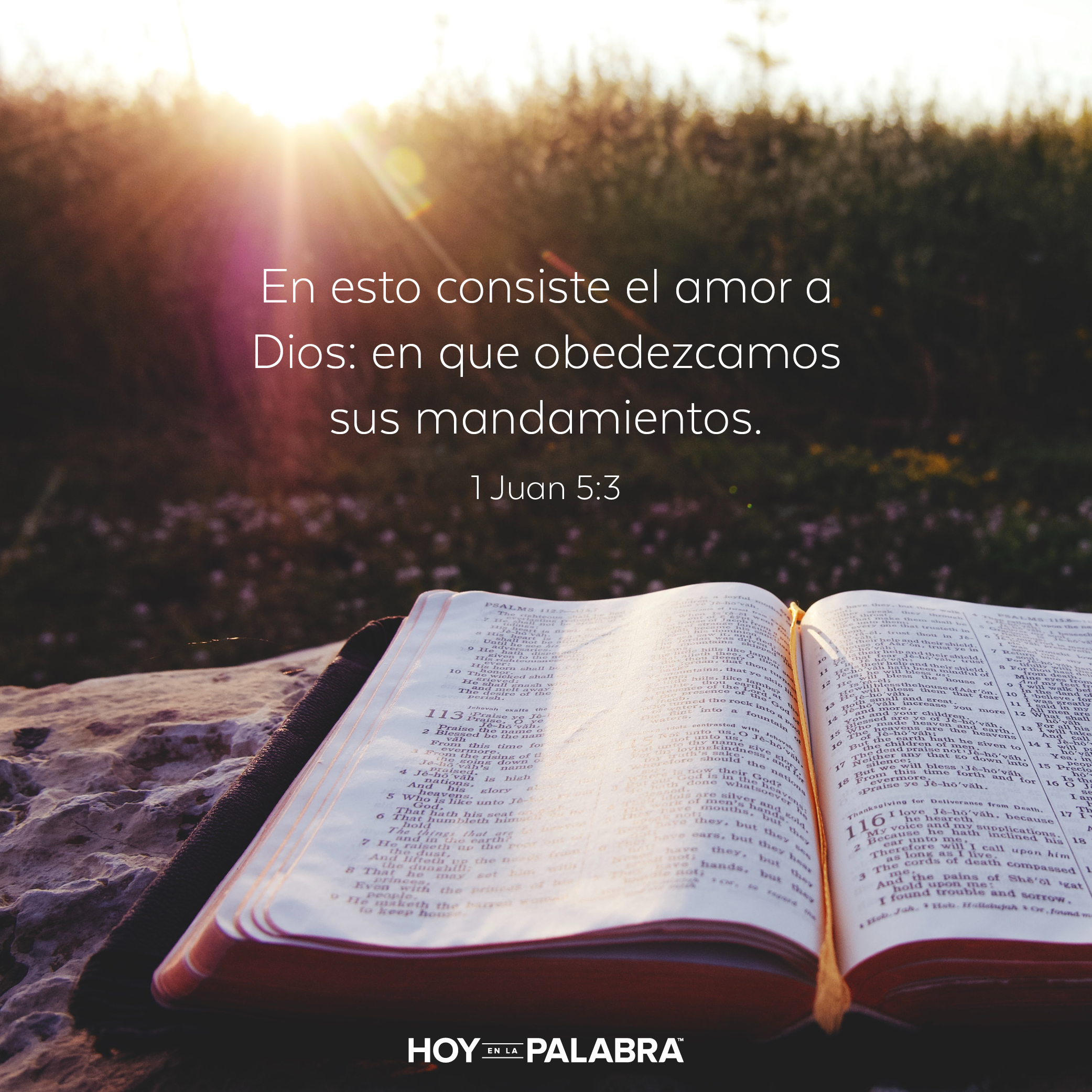 Guardar el mandamiento de Dios