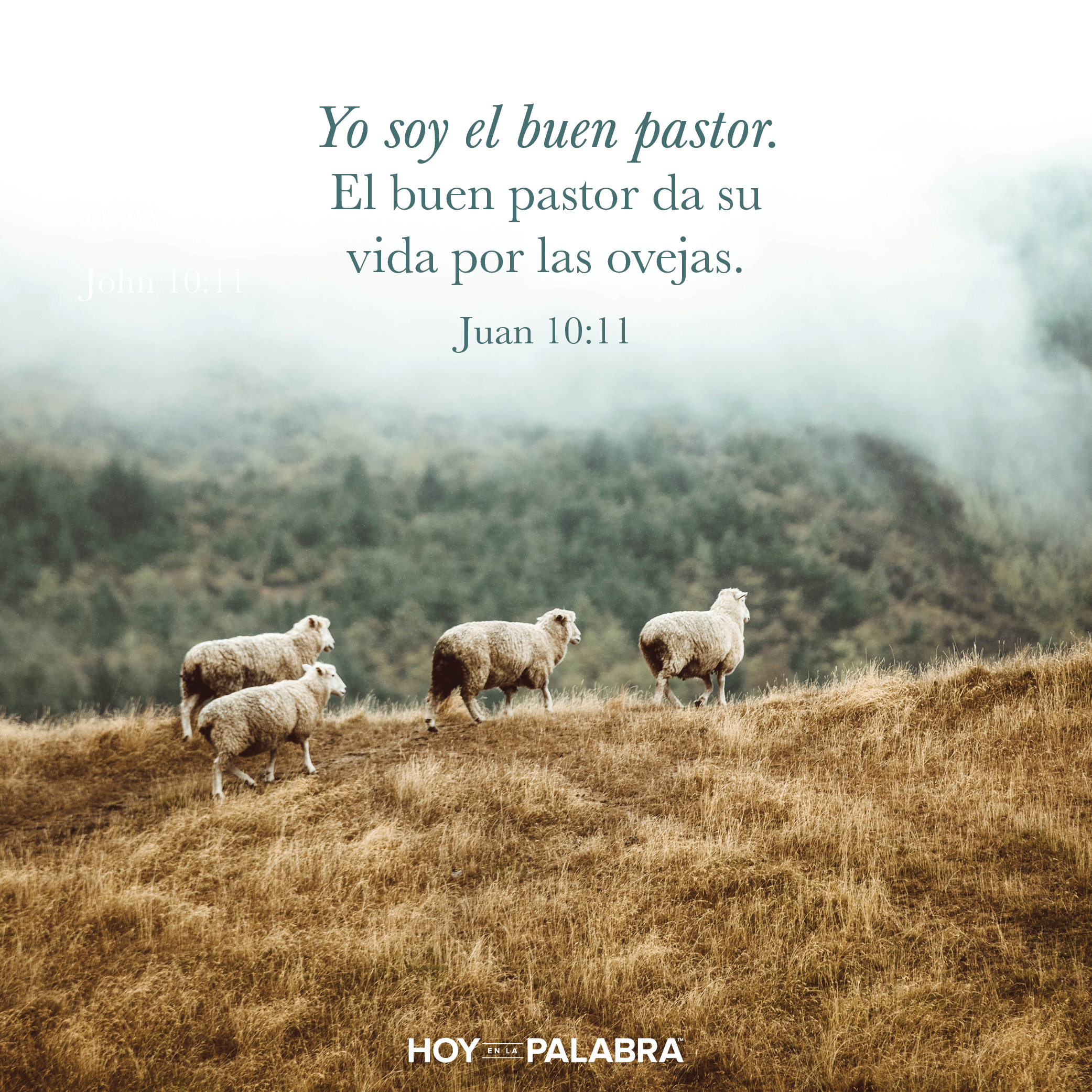 La bendición del Pastor