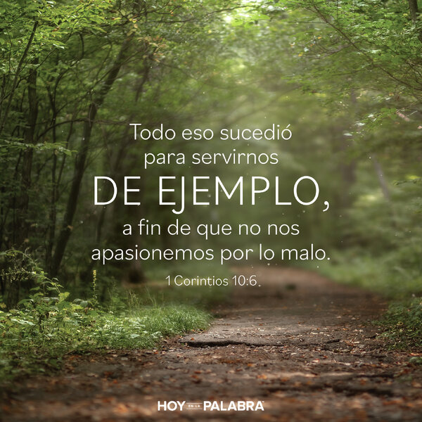 APRENDER DE LOS EJEMPLOS