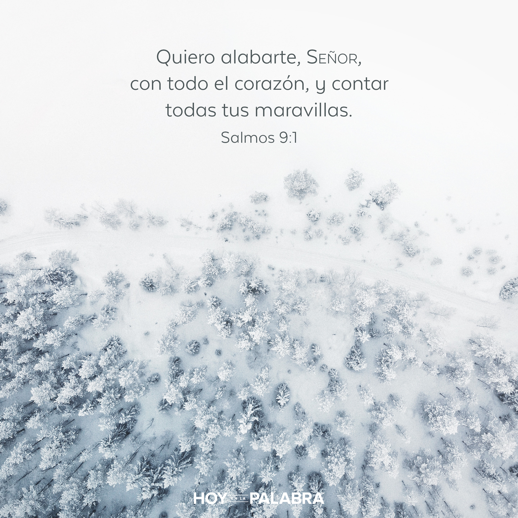 Un mensaje de gratitud