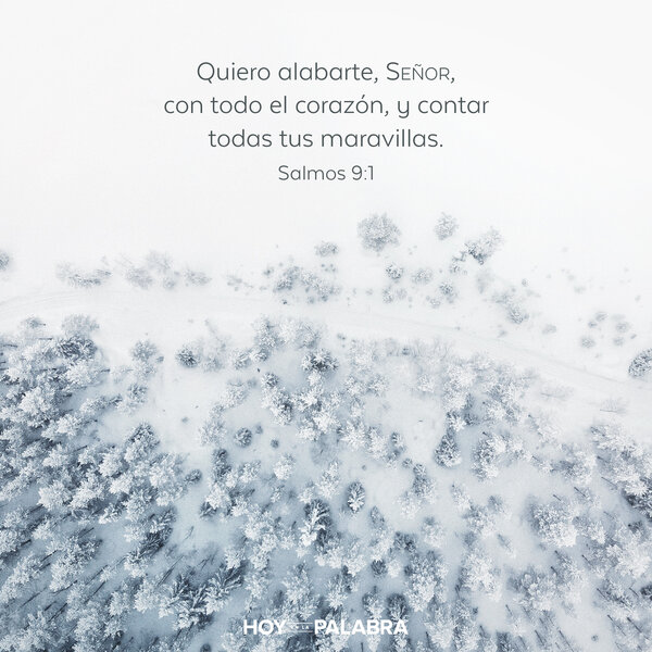 Un mensaje de gratitud