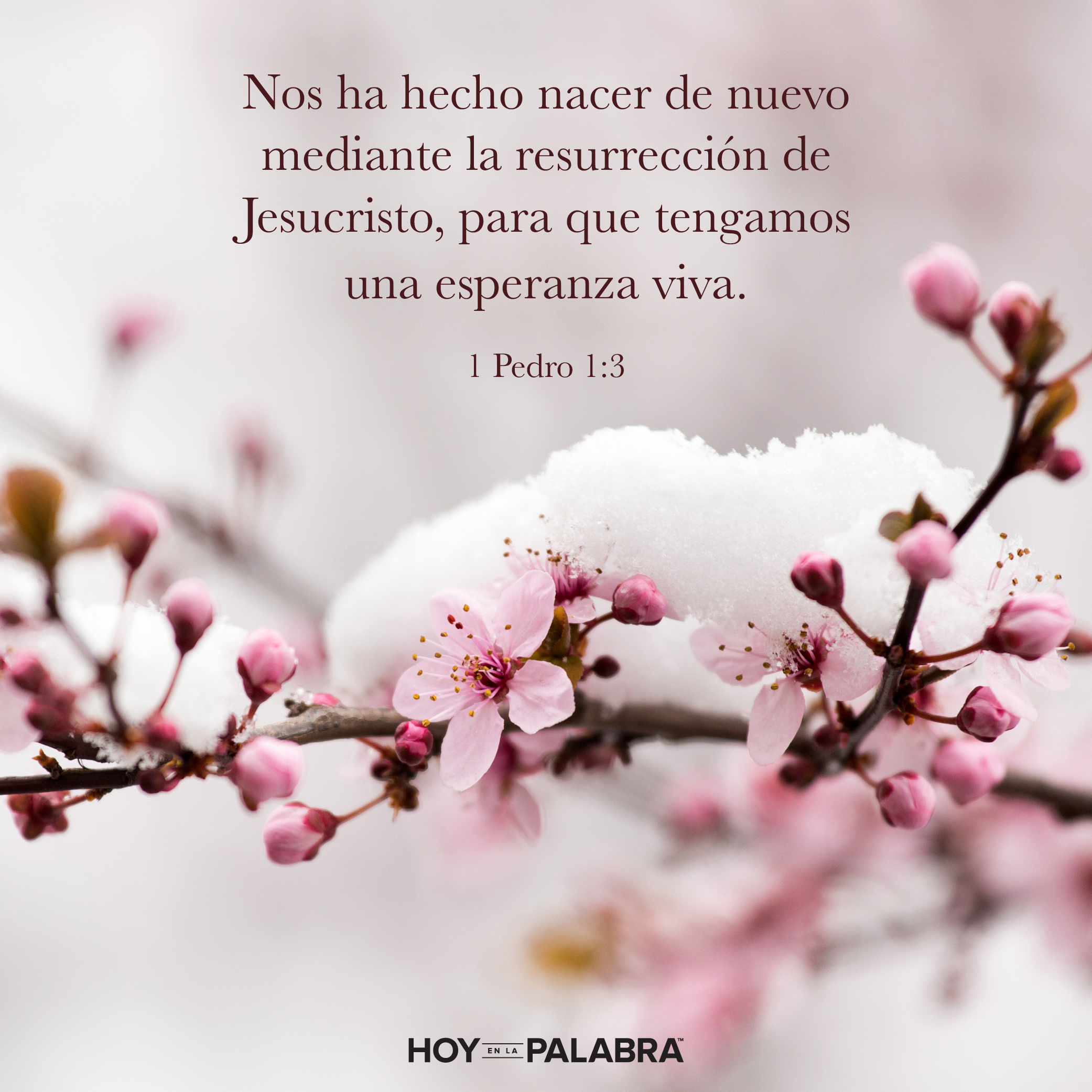 Un mensaje de esperanza