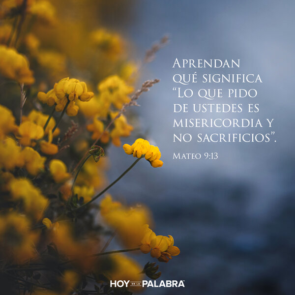 Aprender a seguir a Jesucristo