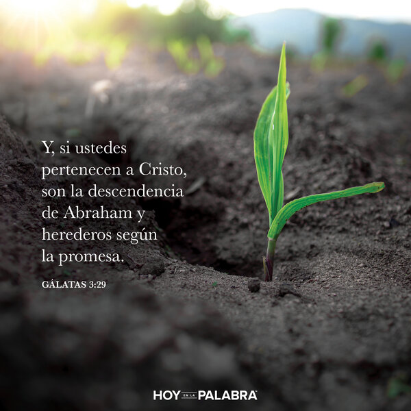 Sara: El pacto confirmado