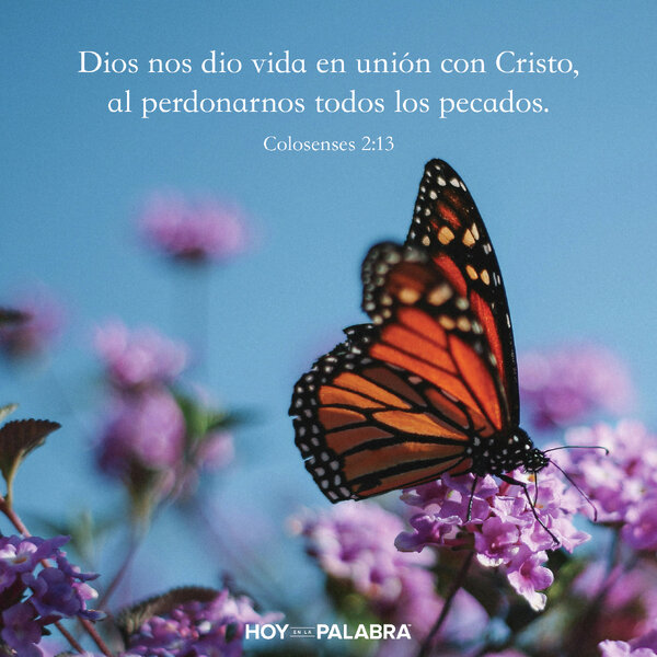 LEVANTADOS A LIBERTAD