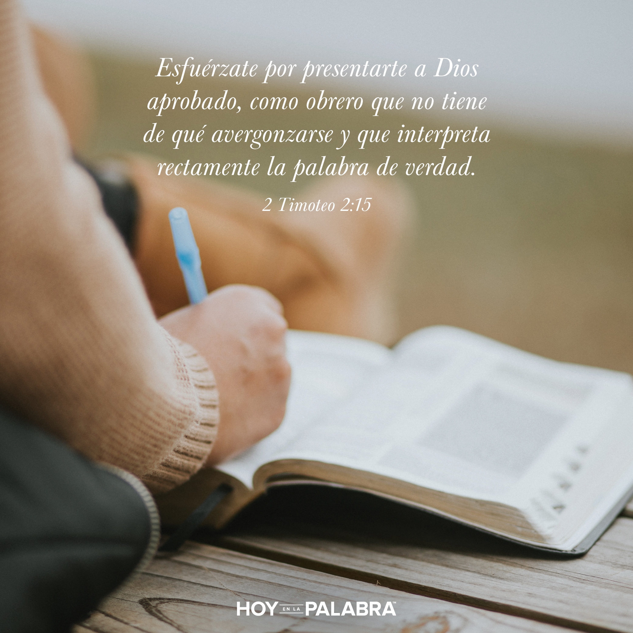 Lideres de confianza