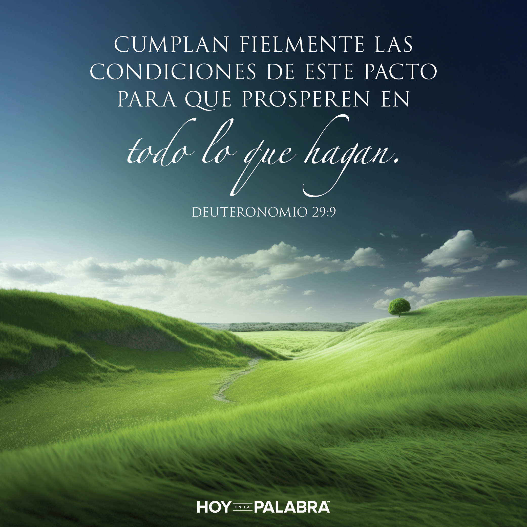 Hoy en la palabra