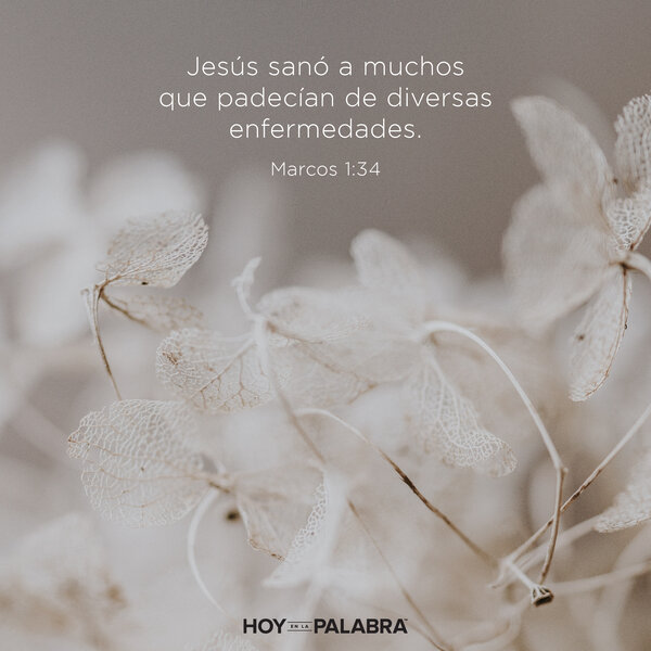 La suegra de Pedro: Restaurada para servir