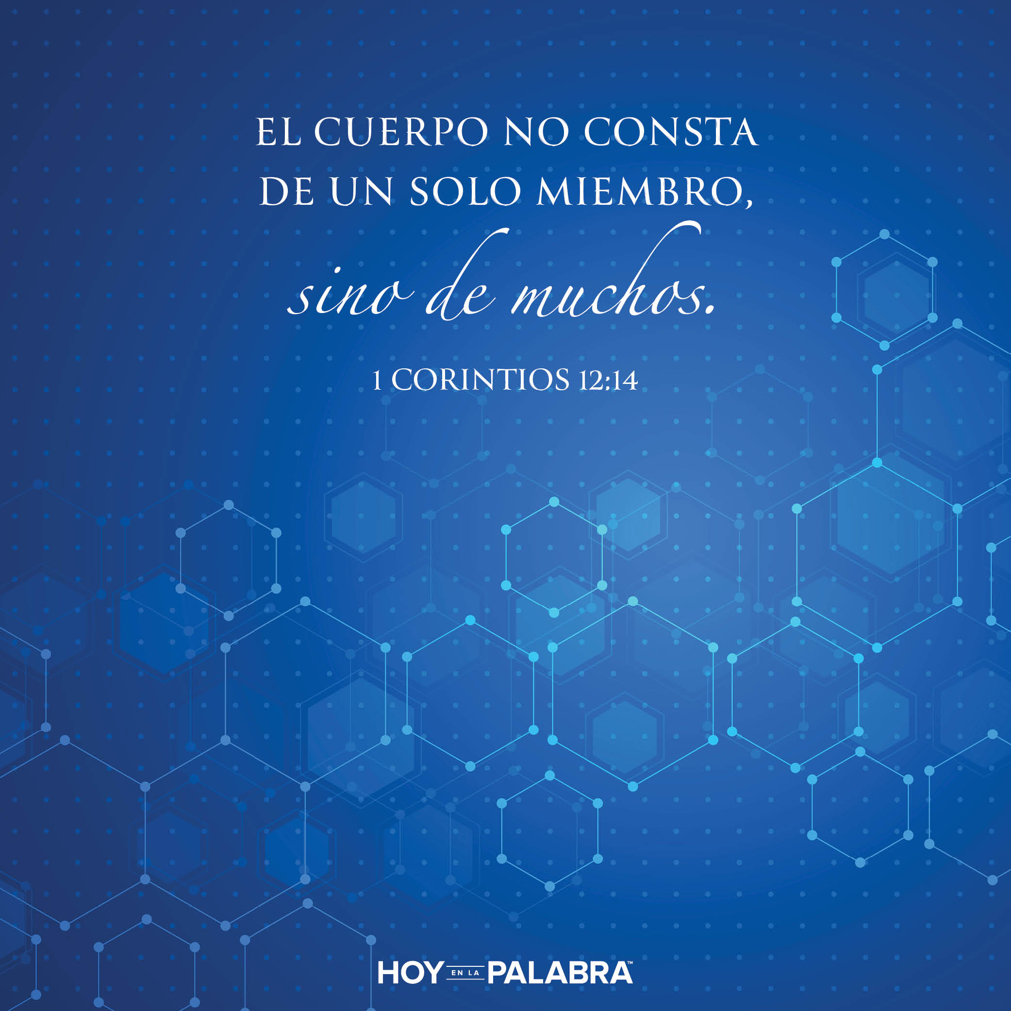 Abrazar las diferencias