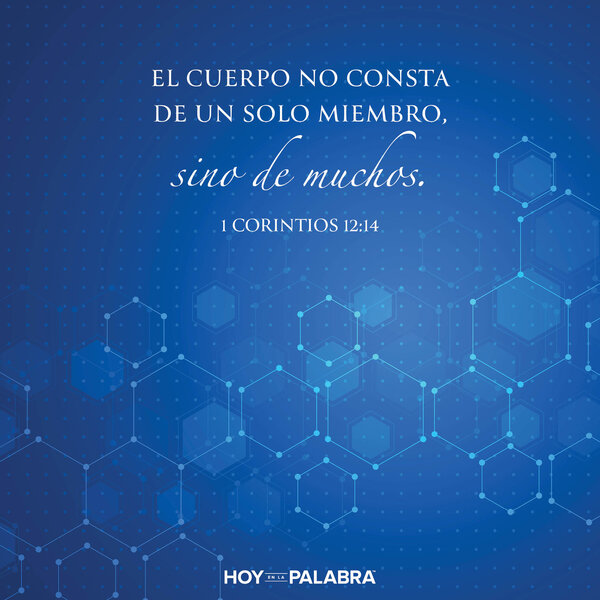 Abrazar las diferencias