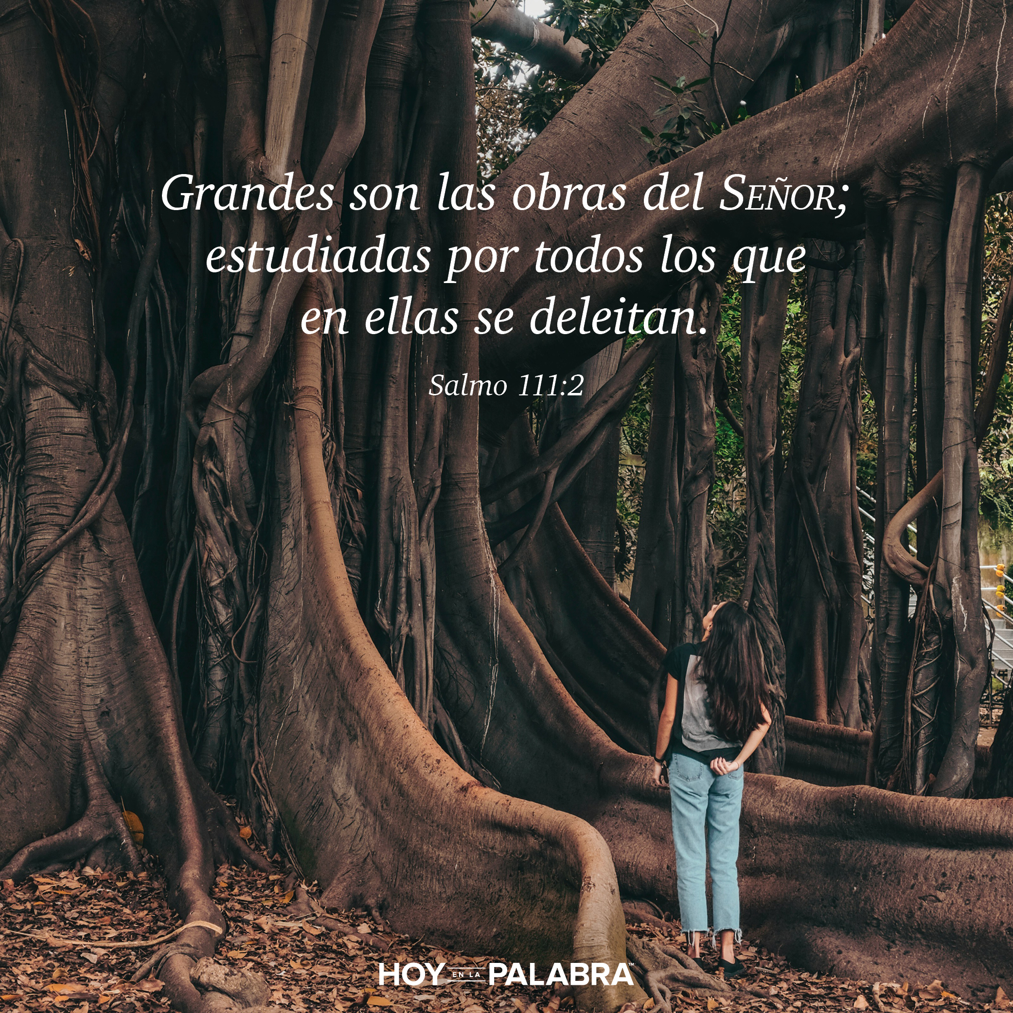 EL PRINCIPIO DE LA SABIDURÍA (2)