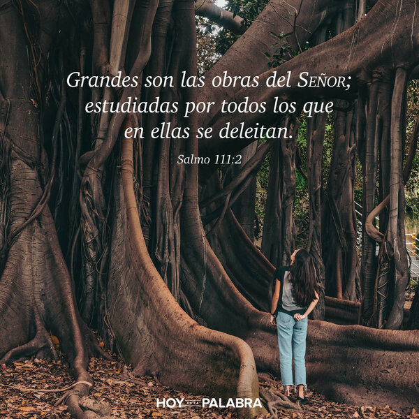 EL PRINCIPIO DE LA SABIDURÍA (2)