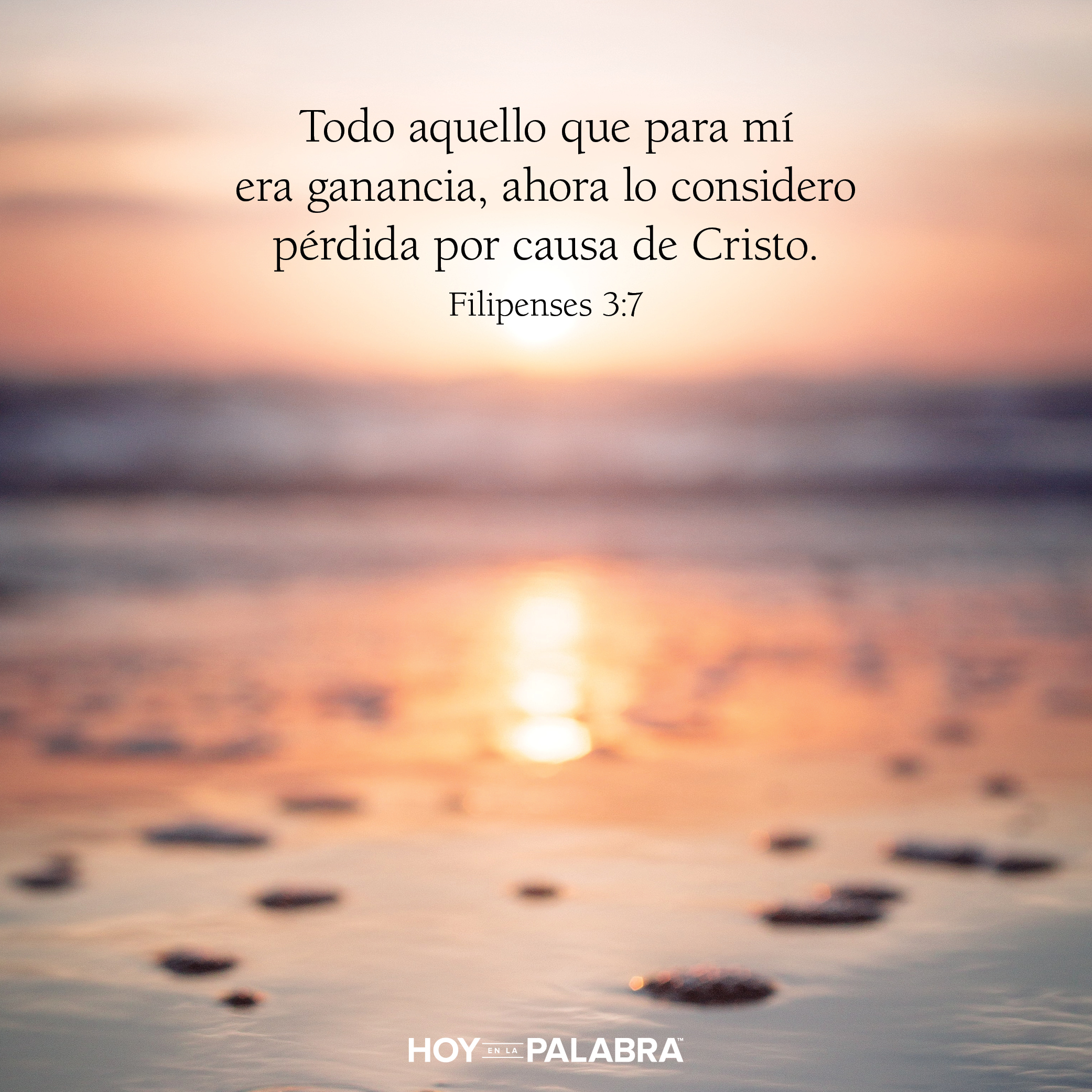 Ganancias y pérdidas