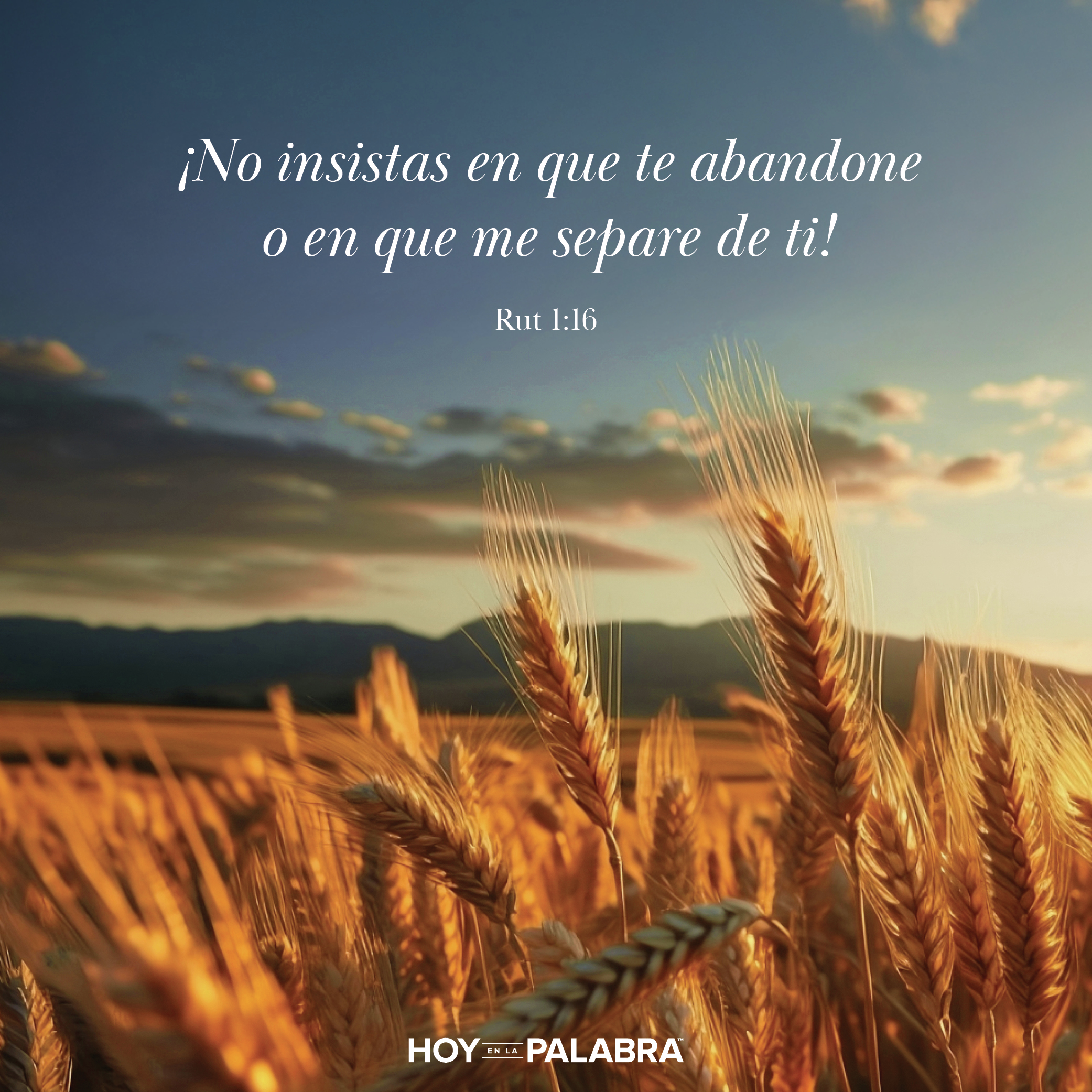 Hoy en la palabra