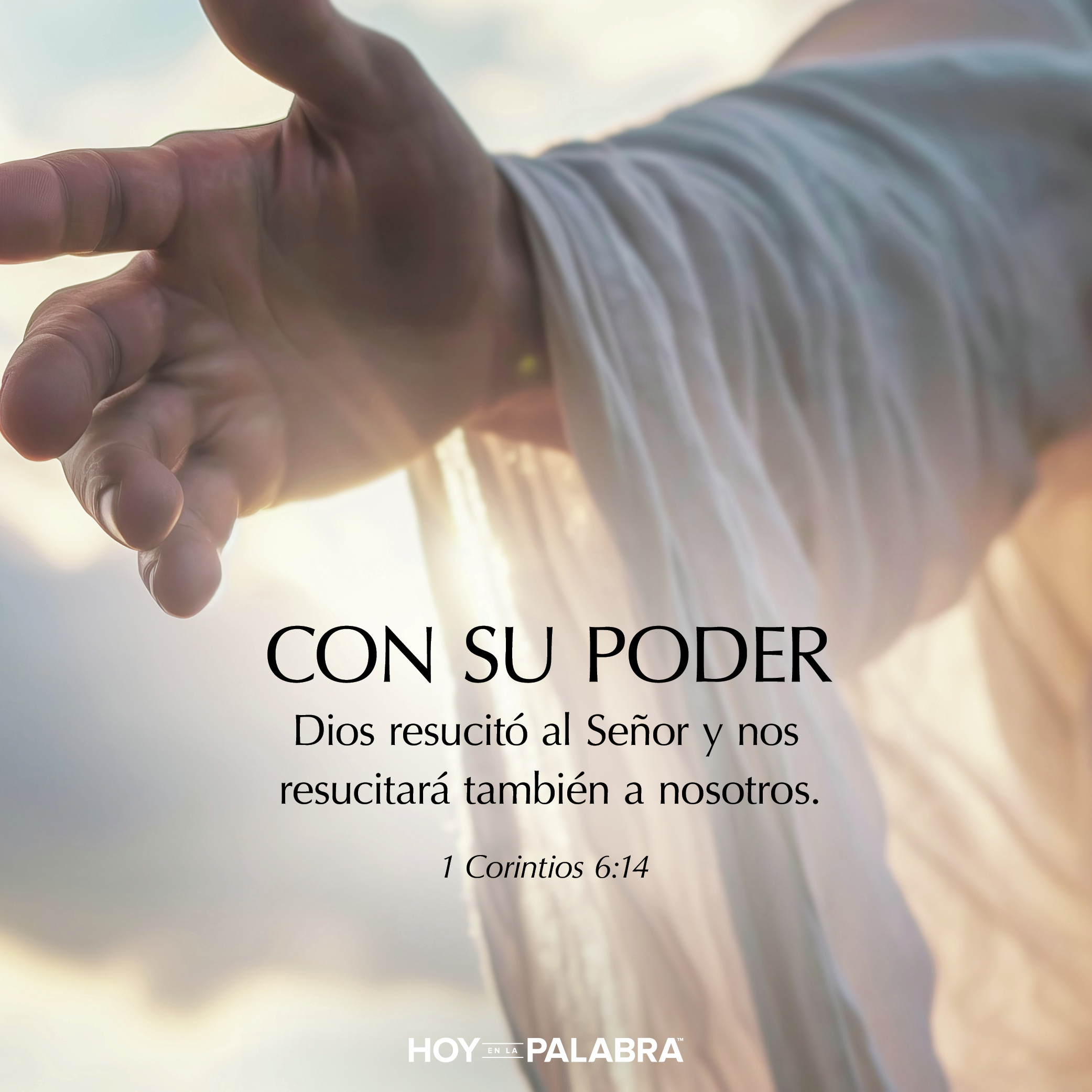 LEVANTADOS PARA SER TEMPLO