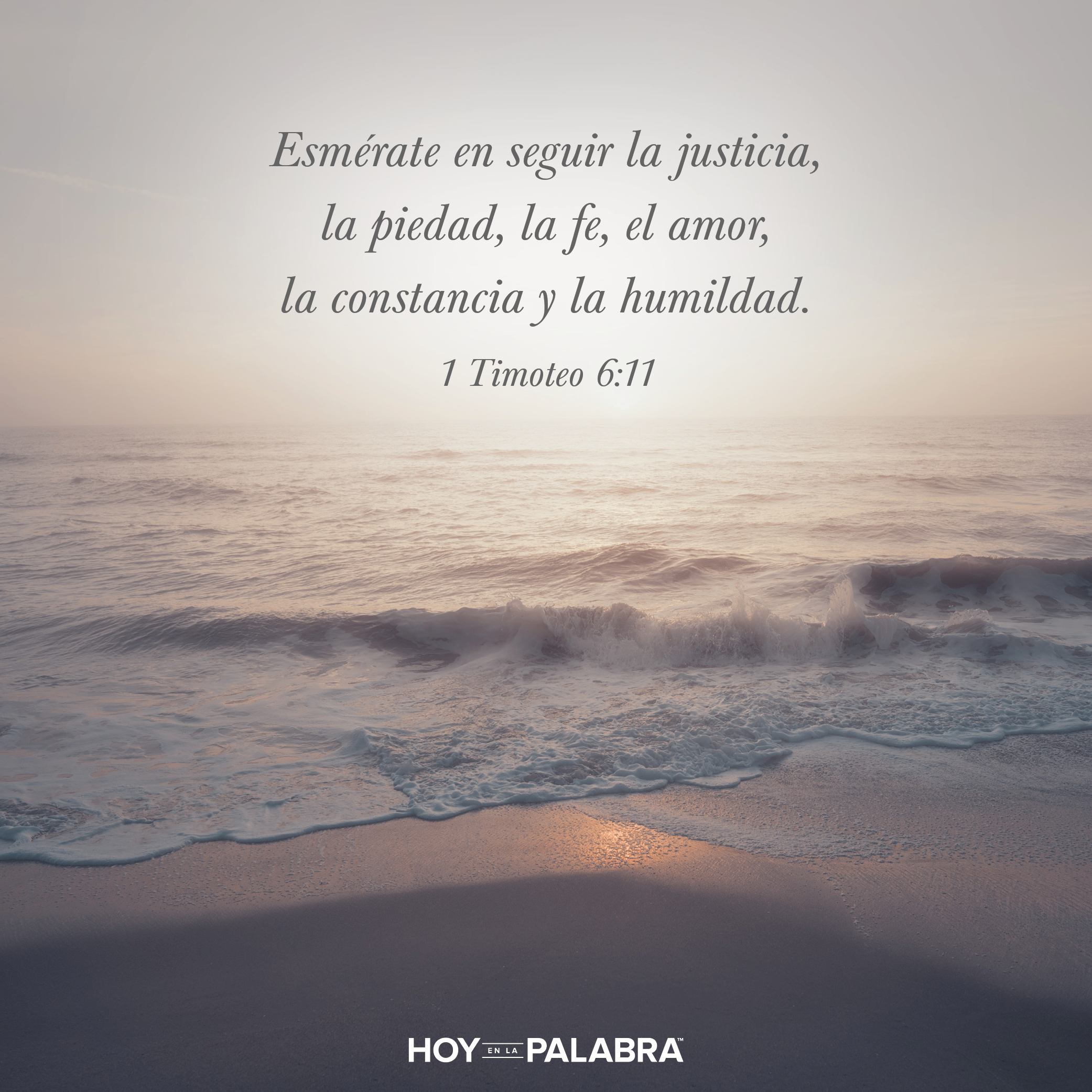 En busca de la justicia