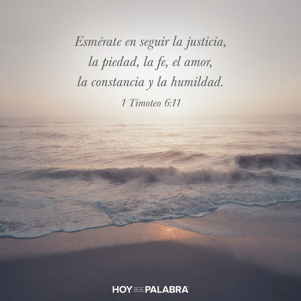 En busca de la justicia