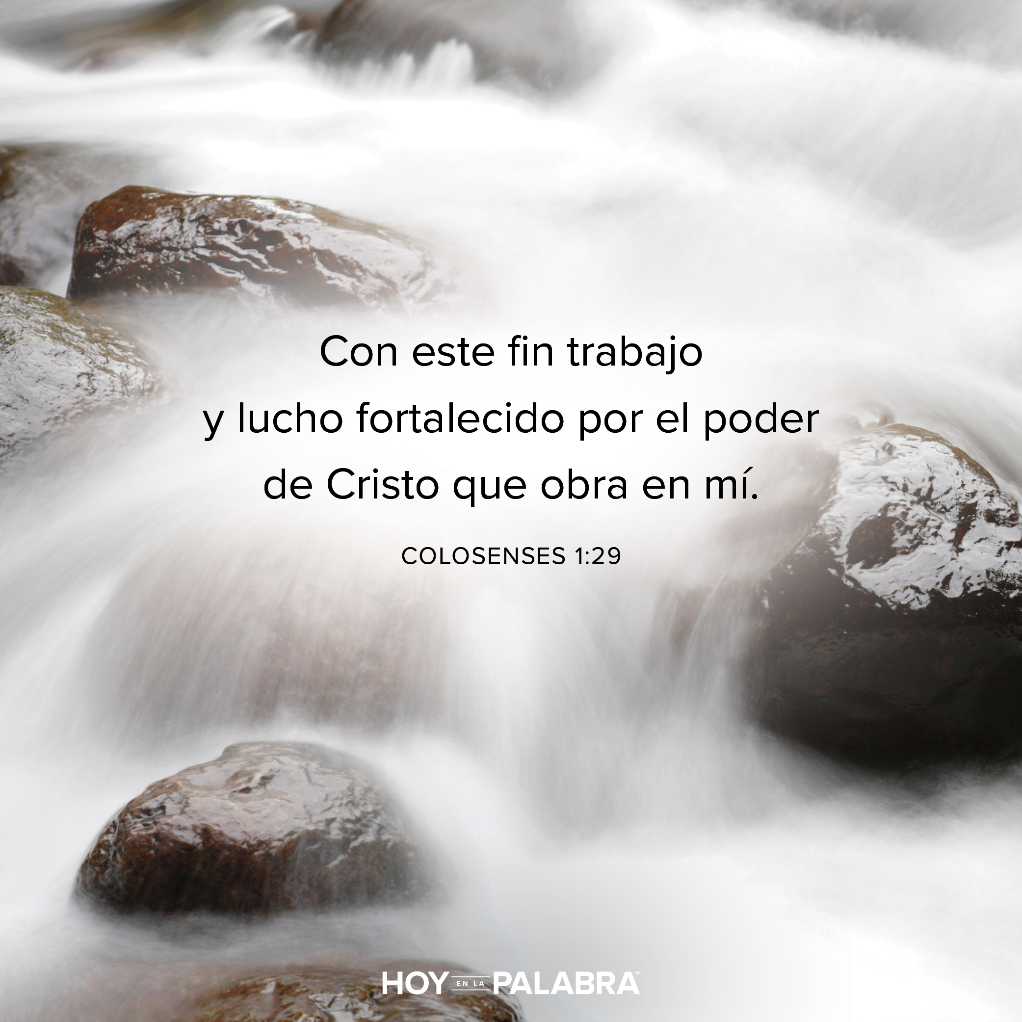 Perder de vista la salvación