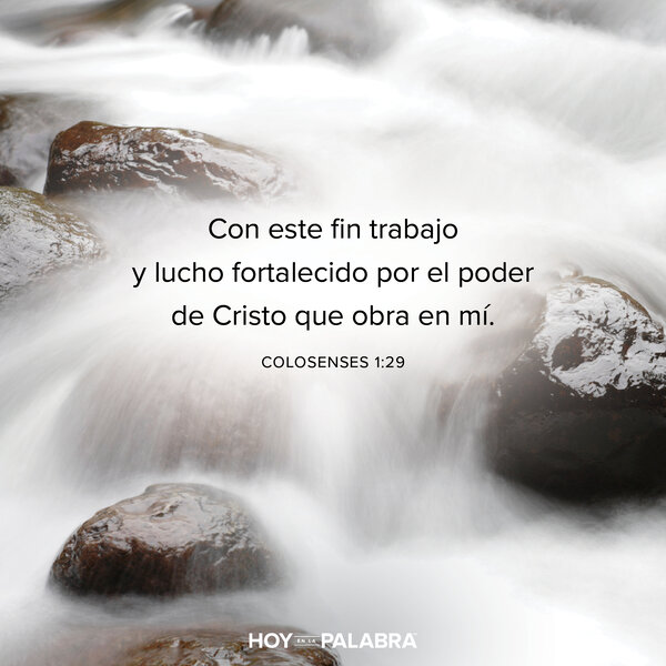 Perder de vista la salvación