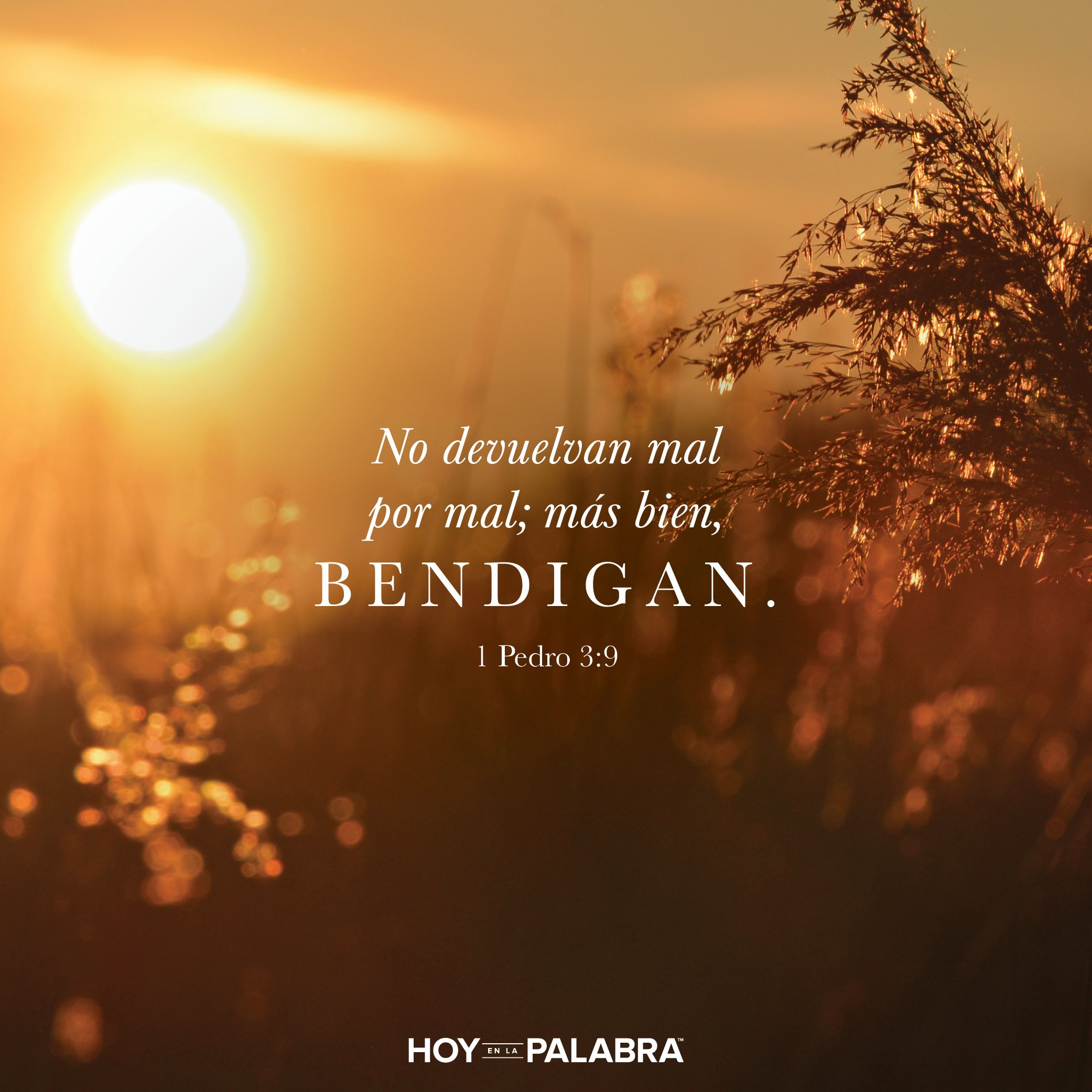 Amor, compasión y humildad