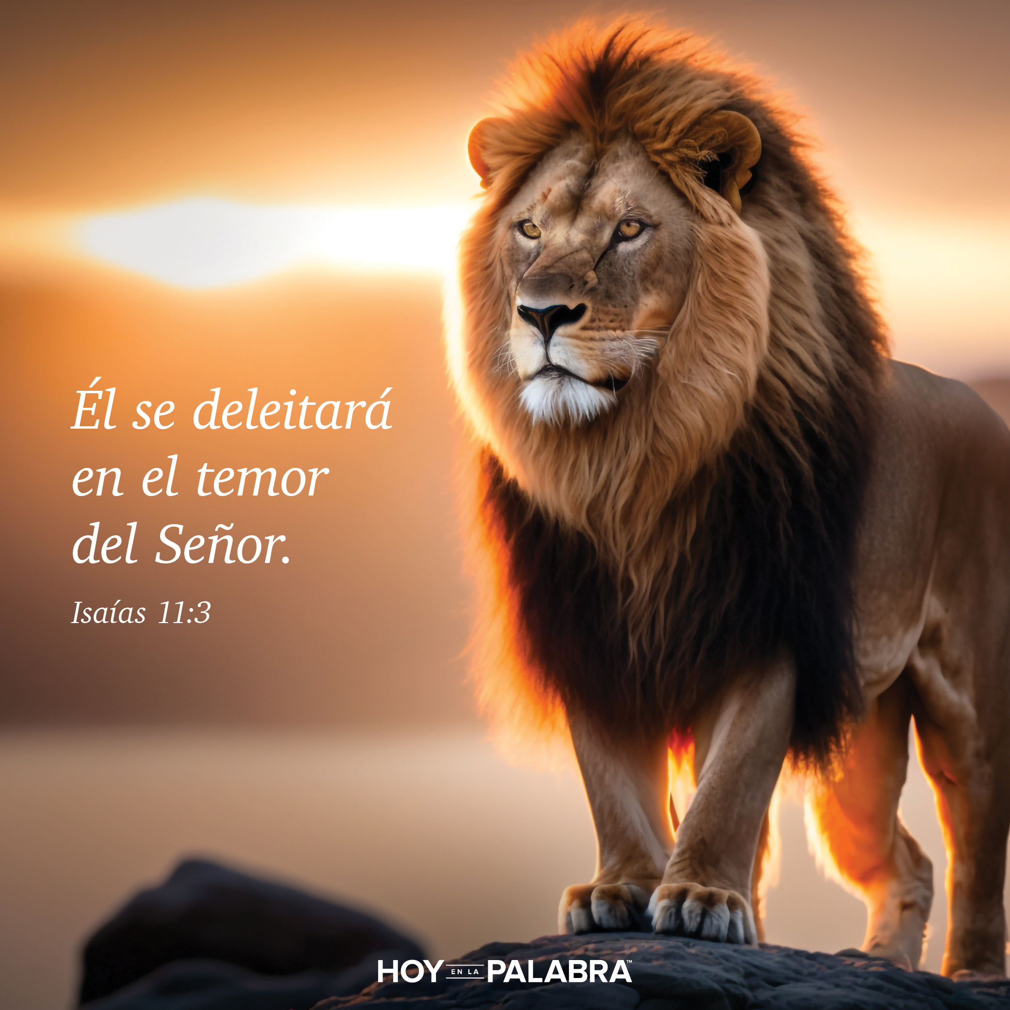 EL TEMOR Y EL MESÍAS