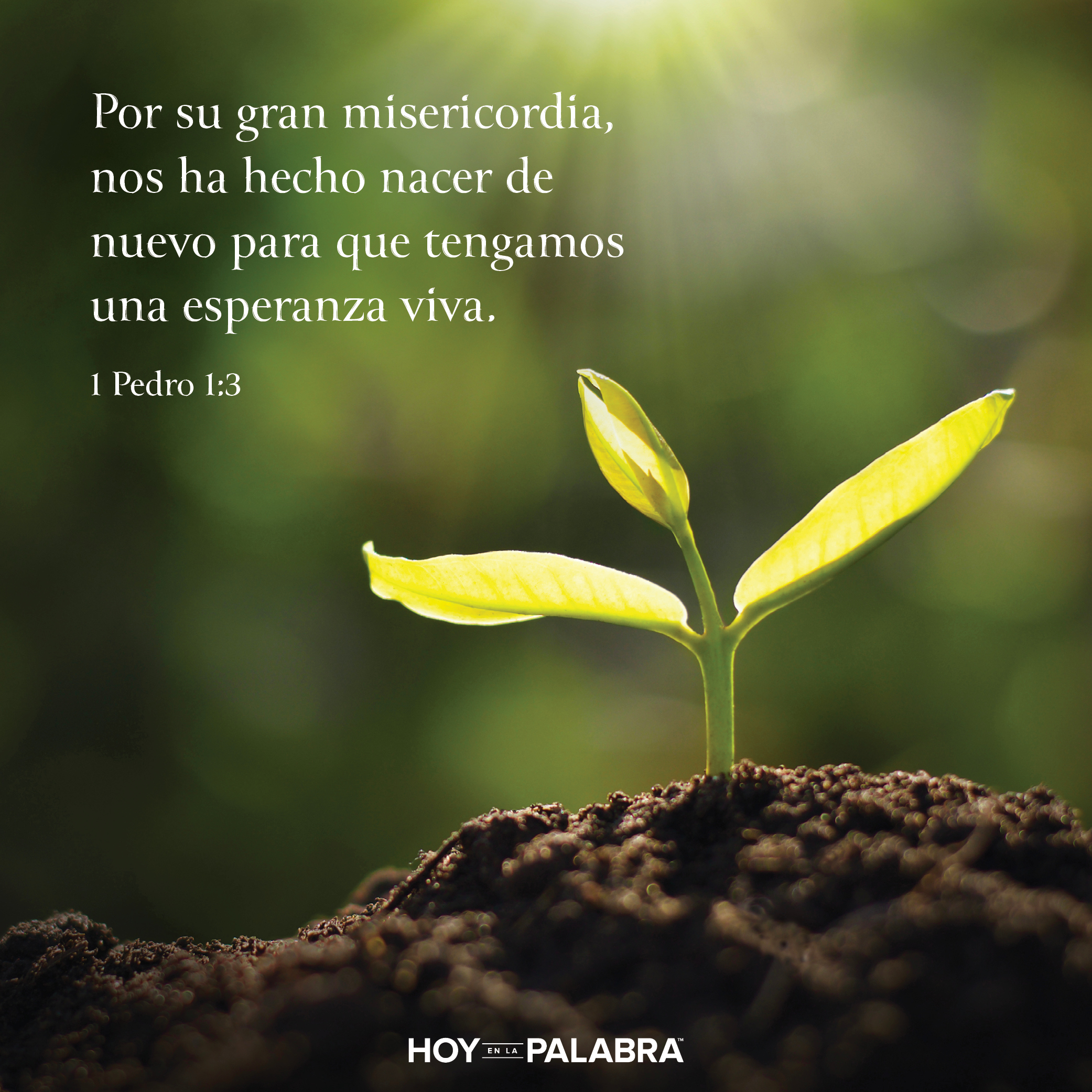 Una herencia eternal