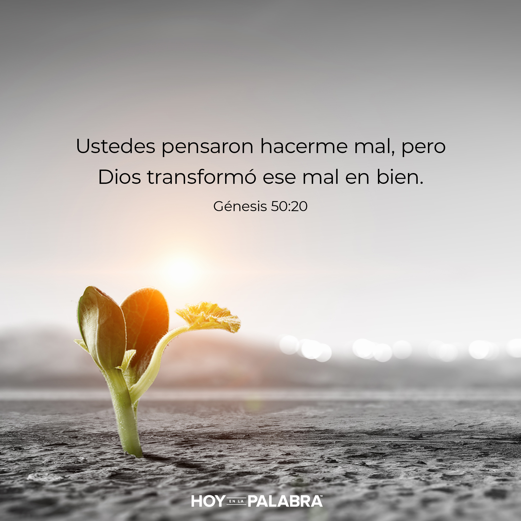 De hambruna a familia