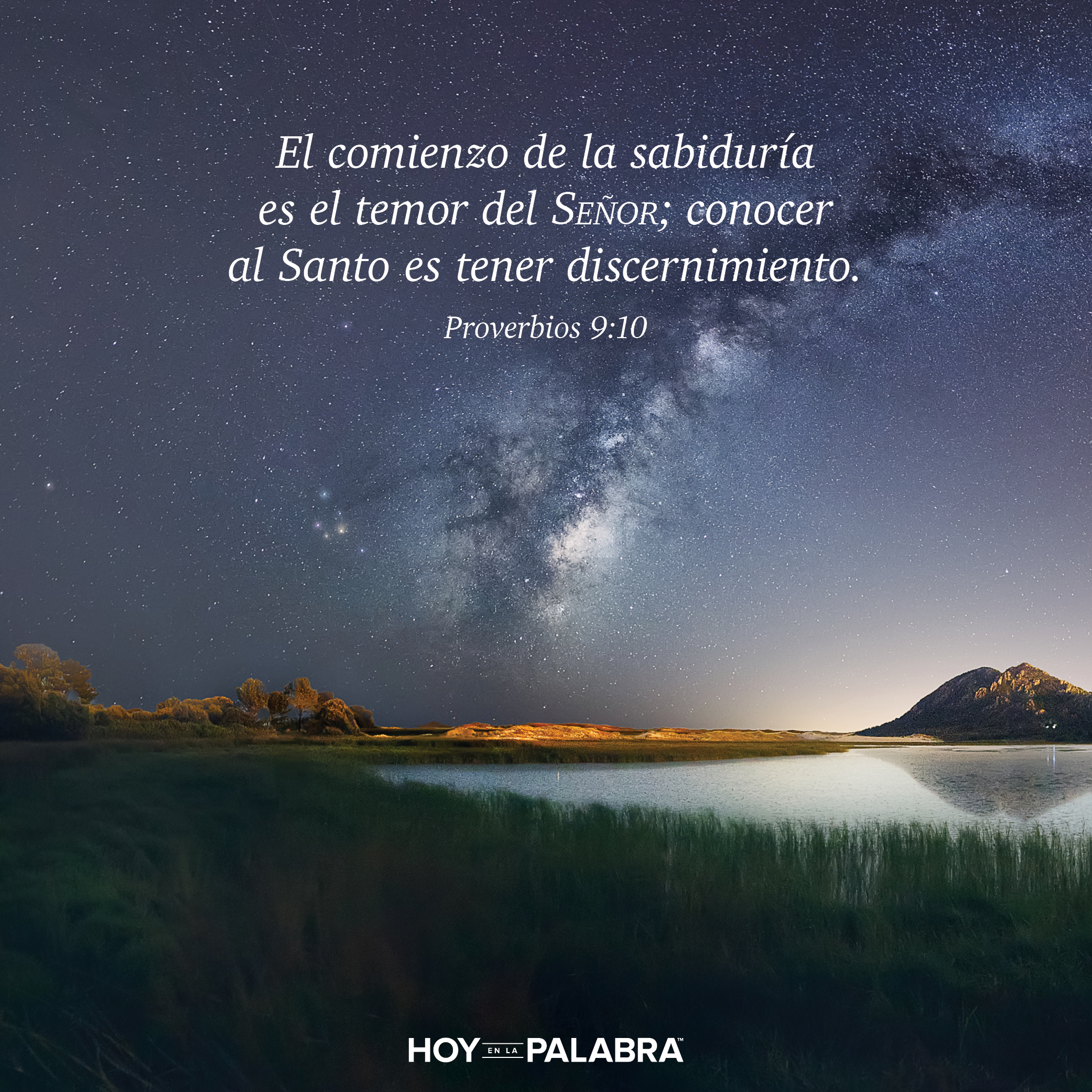 Buen consejo, mal consejo