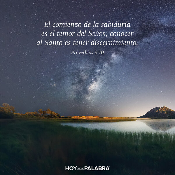 Buen consejo, mal consejo