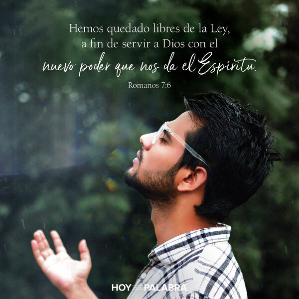 LEVANTADOS A LA PERTENENCIA